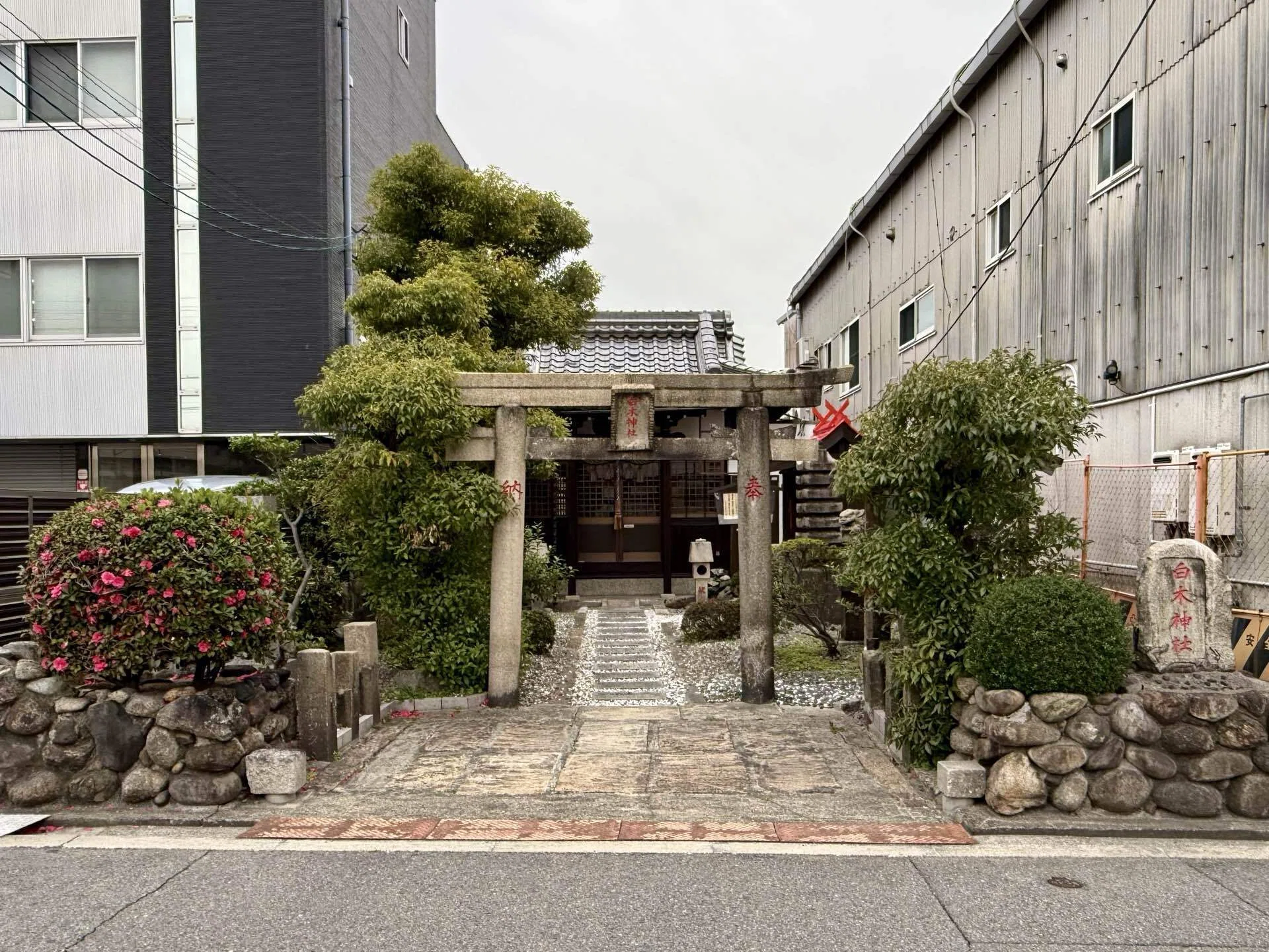 5676 白木神社 大阪府大阪市浪速区木津川｜日本中全ての神社に参拝