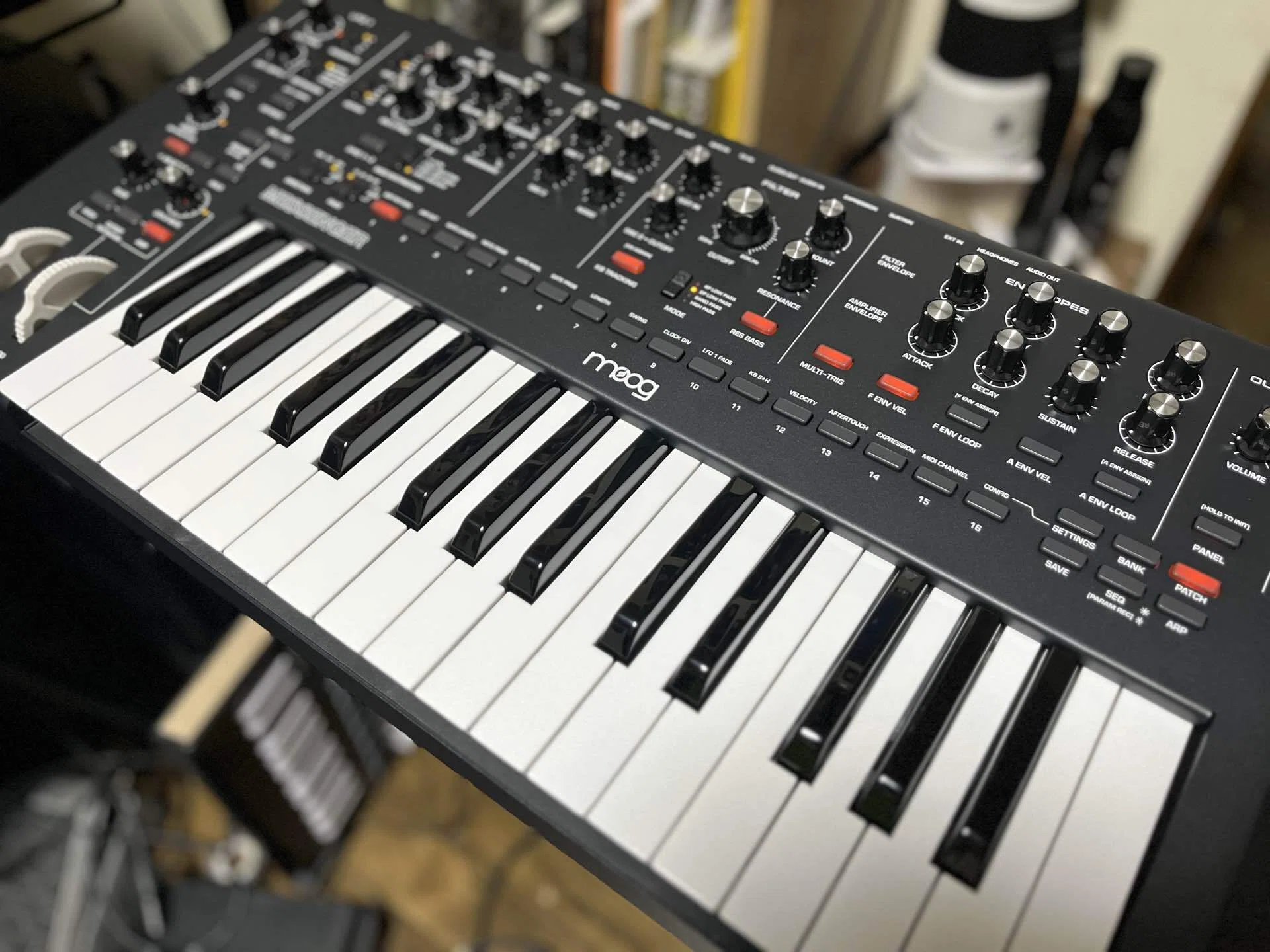 NGD】僕の抱えているこの心の病には、まだ名前がない。【moog