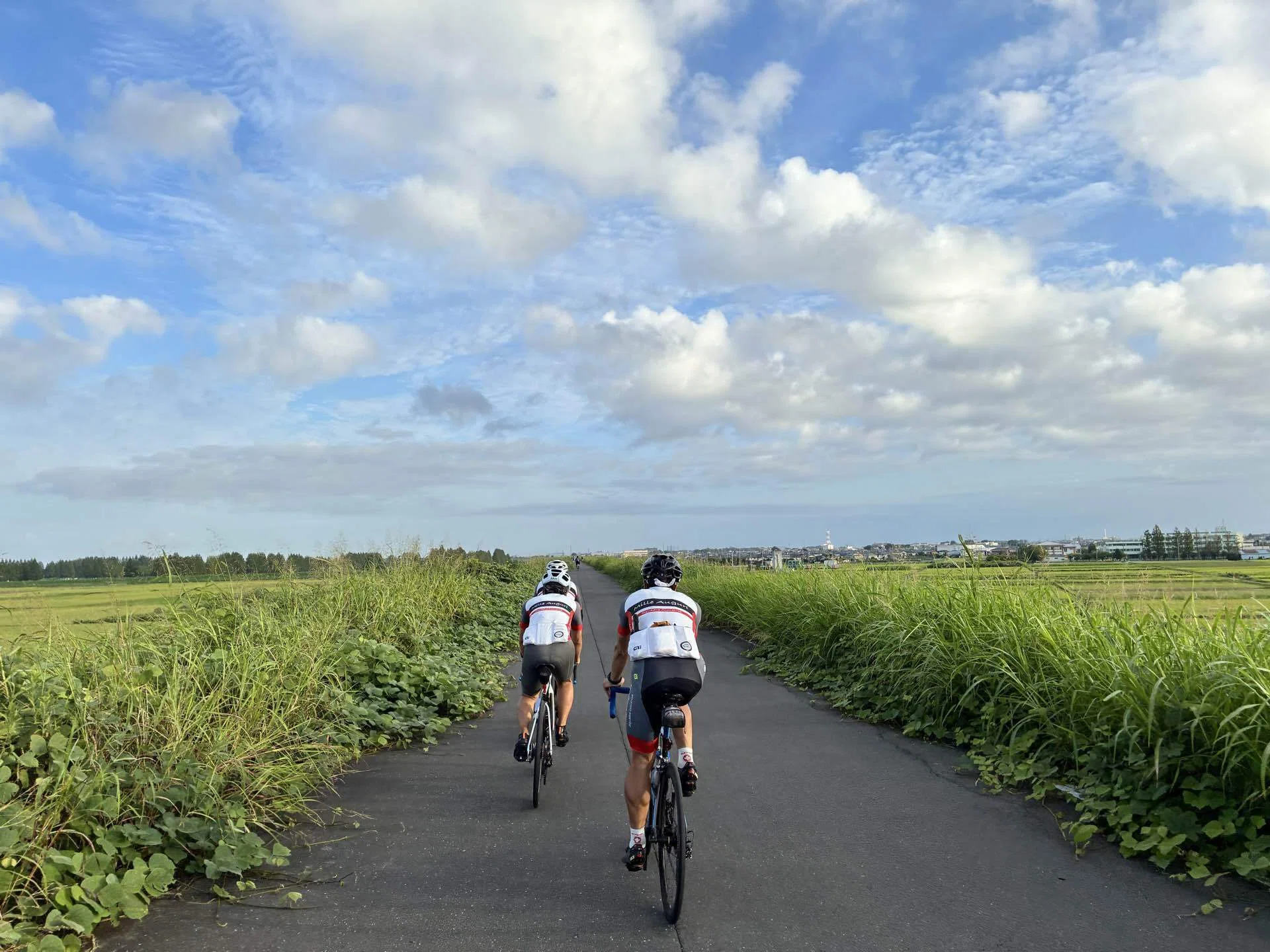 東松山農林公園ひまわりの咲く丘ライド140km｜西川正治