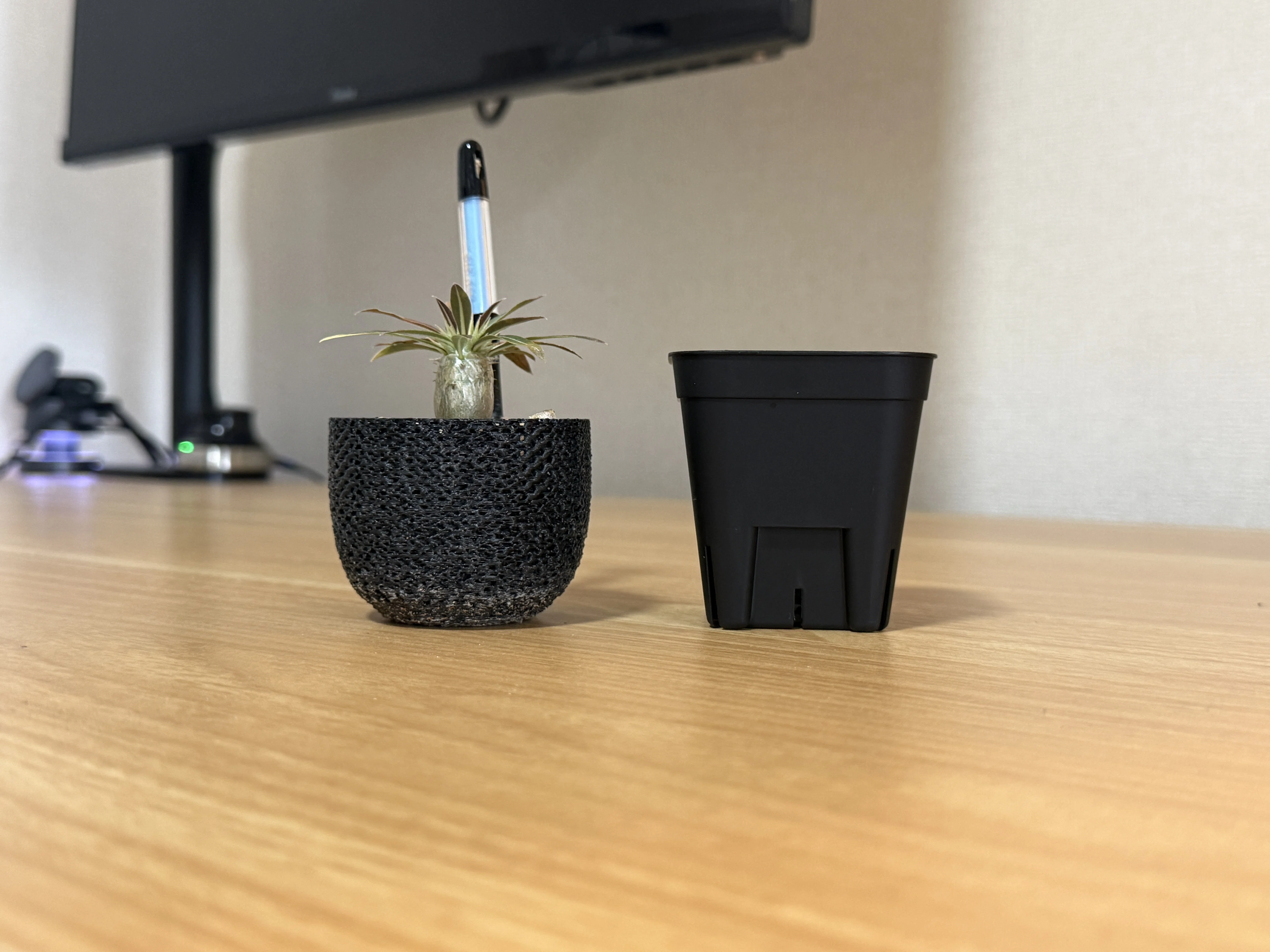 検証】「通気性が良すぎるとどうなる？」3Dプリンター製ジャイロイド鉢