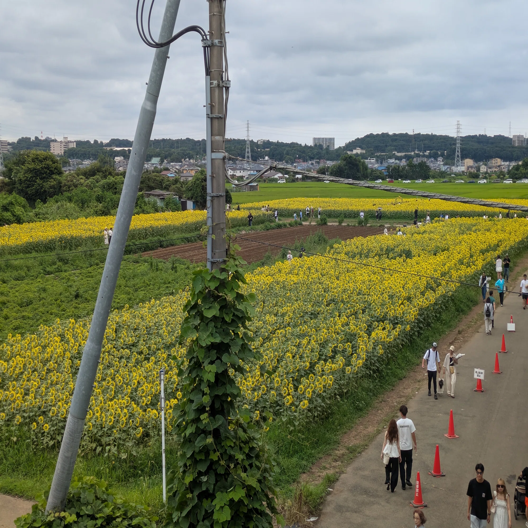 公の場での発言・インタビュー報道記録