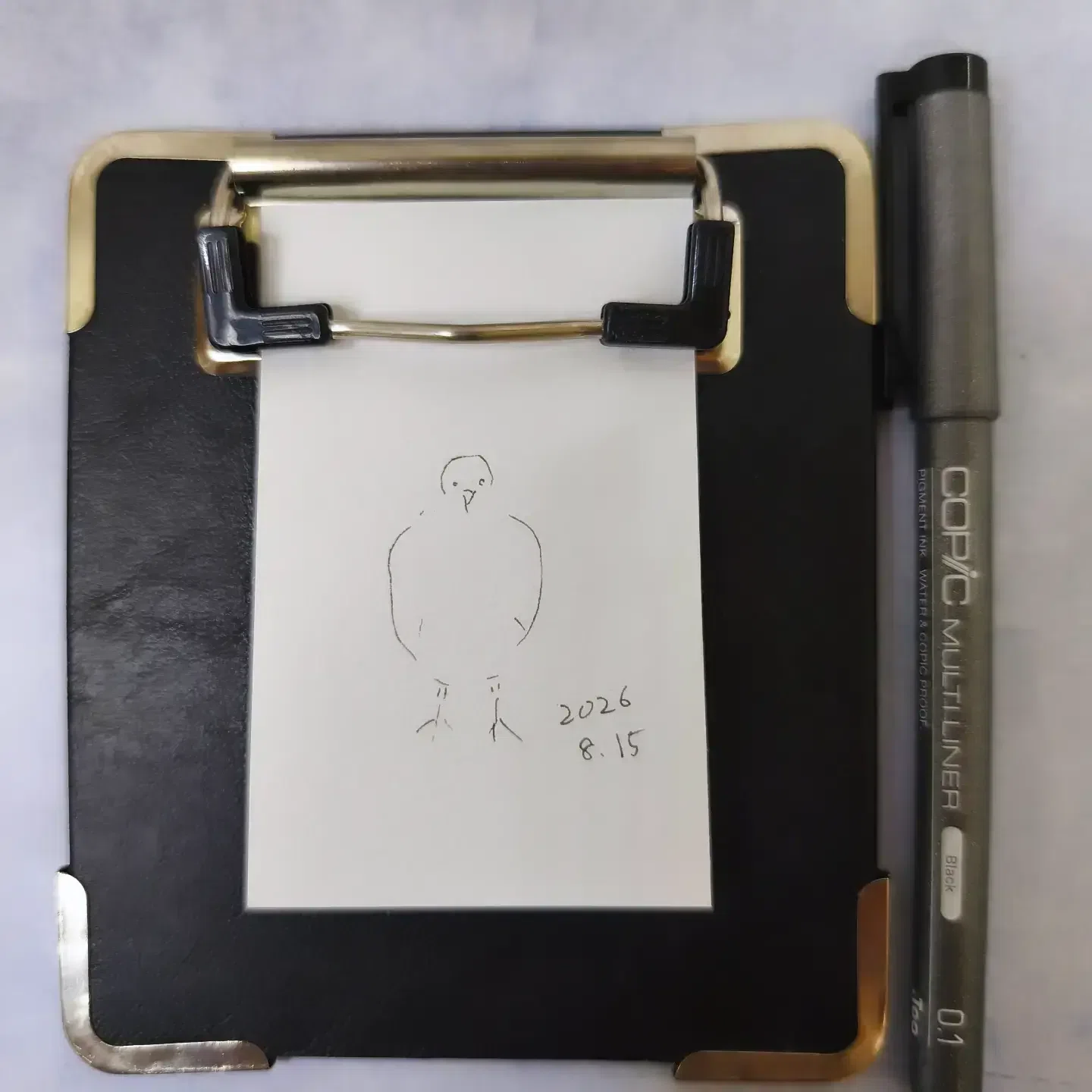 ハマ大根の咲く頃 水彩画 フレーム付き 描きながら歩く 8月15日鳩 ヒマワリ成長記録⑳ |透明水彩スケッチ日記