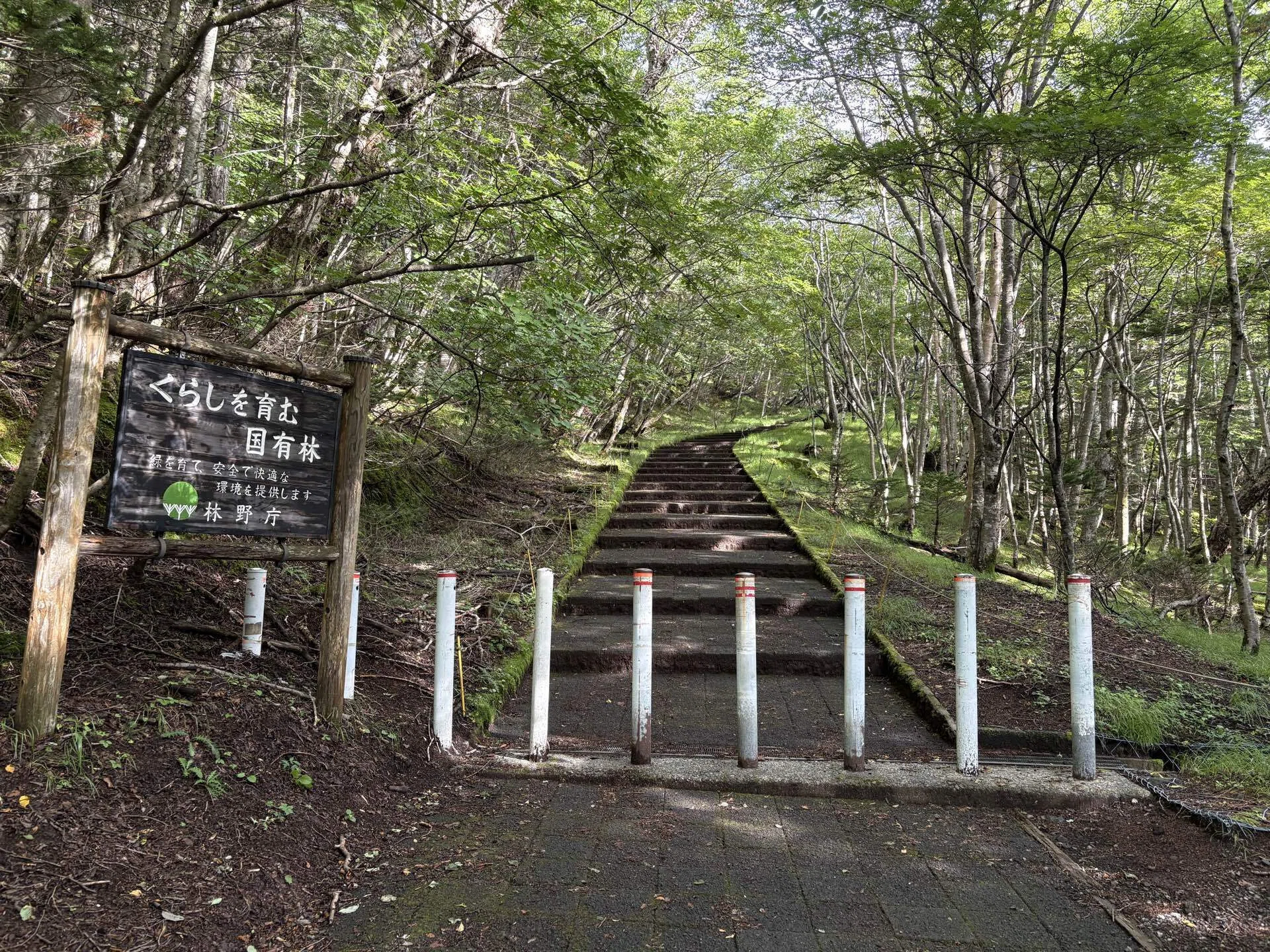 富士山｜Kiyofumi