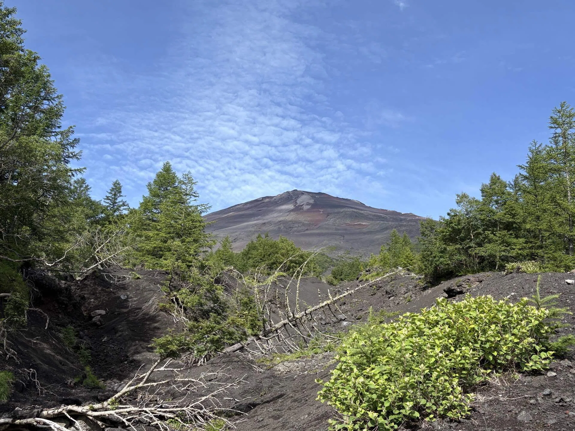 富士山｜Kiyofumi