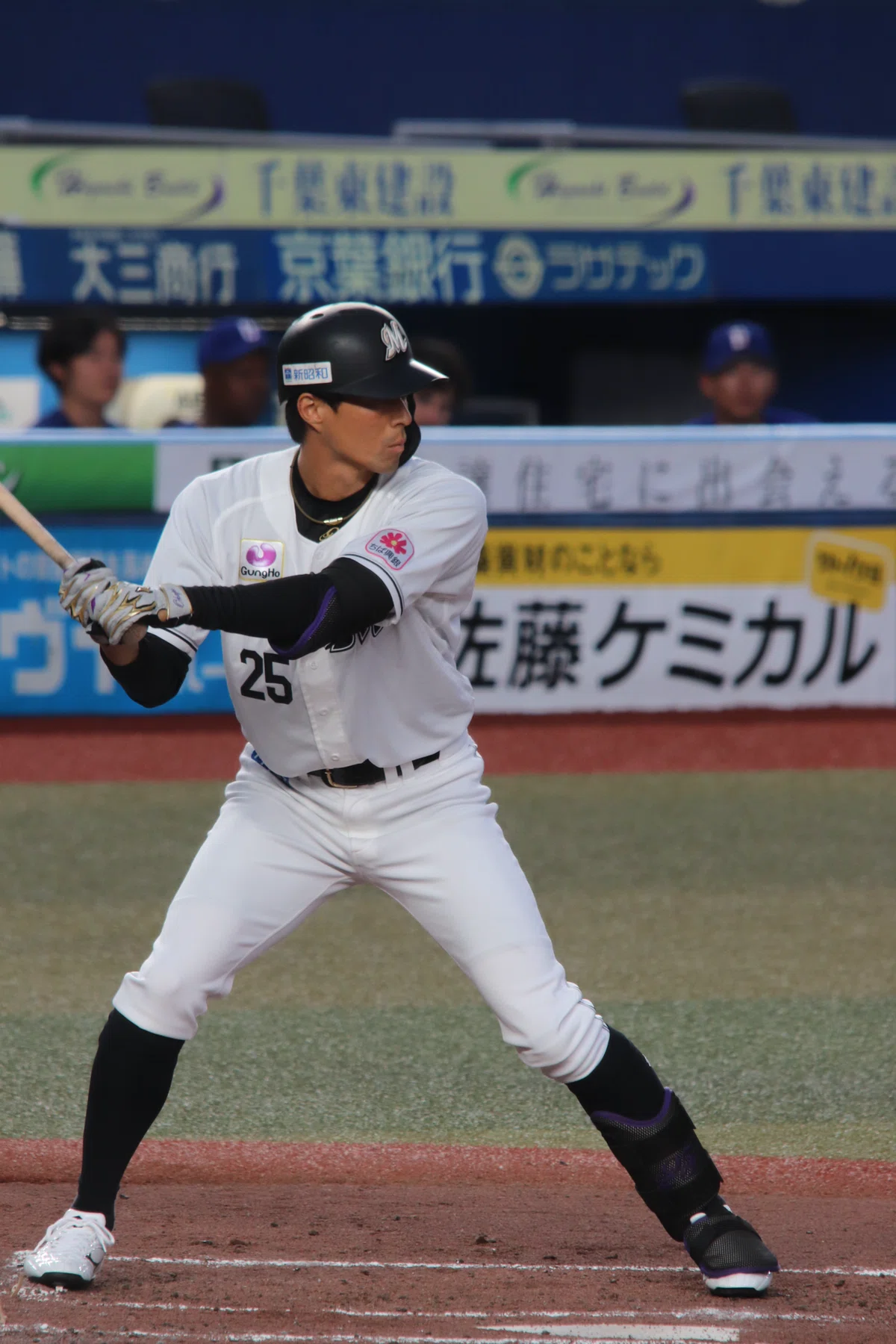 [Stadium Photography] #3 My Highly Personal Guide to Choosing Seats｜とち