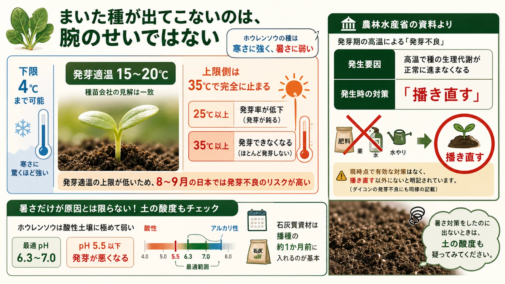 ホウレンソウの種が暑さで発芽しない｜芽出しまきで秋作を始める｜気象