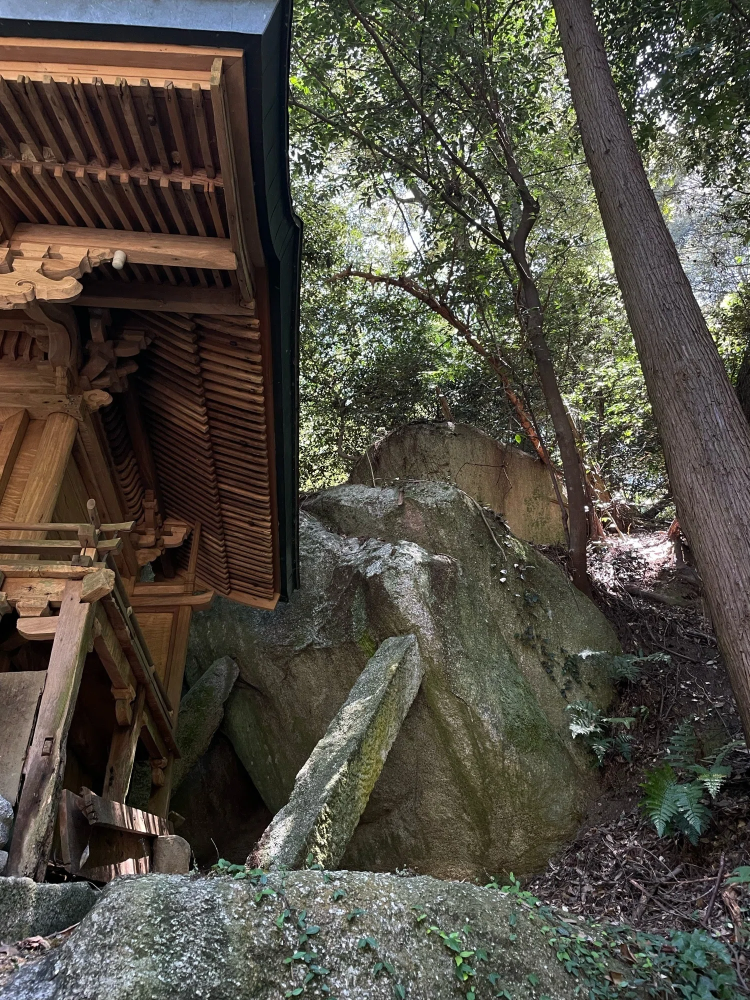 讃岐式内社を歩く #2】古代讃岐の祈りが息づく「大水上神社」｜職人の