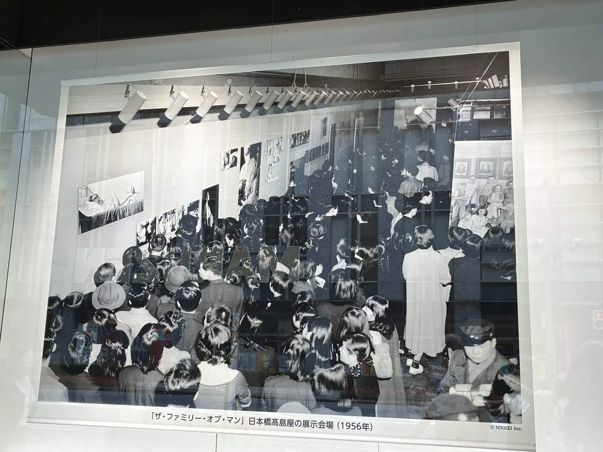 70年後の「人間家族」｜インウェイとスオイ