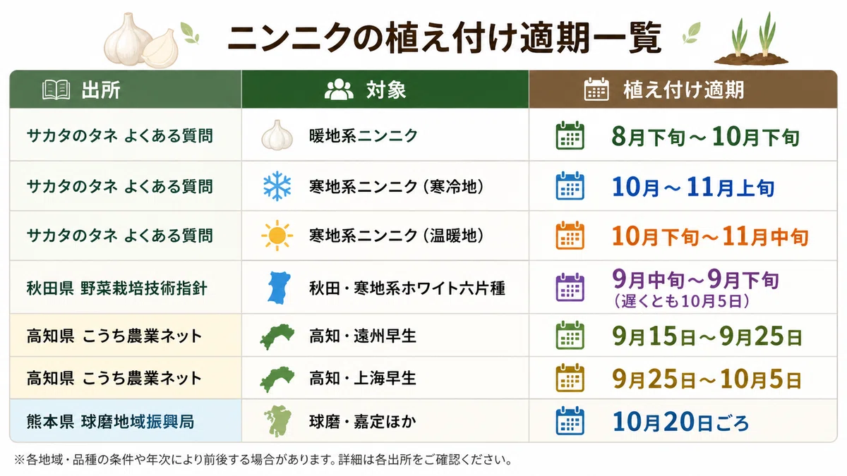 にんにくの育て方はプランターと畑で何が違う？植え付け時期と失敗しないコツを徹底解説