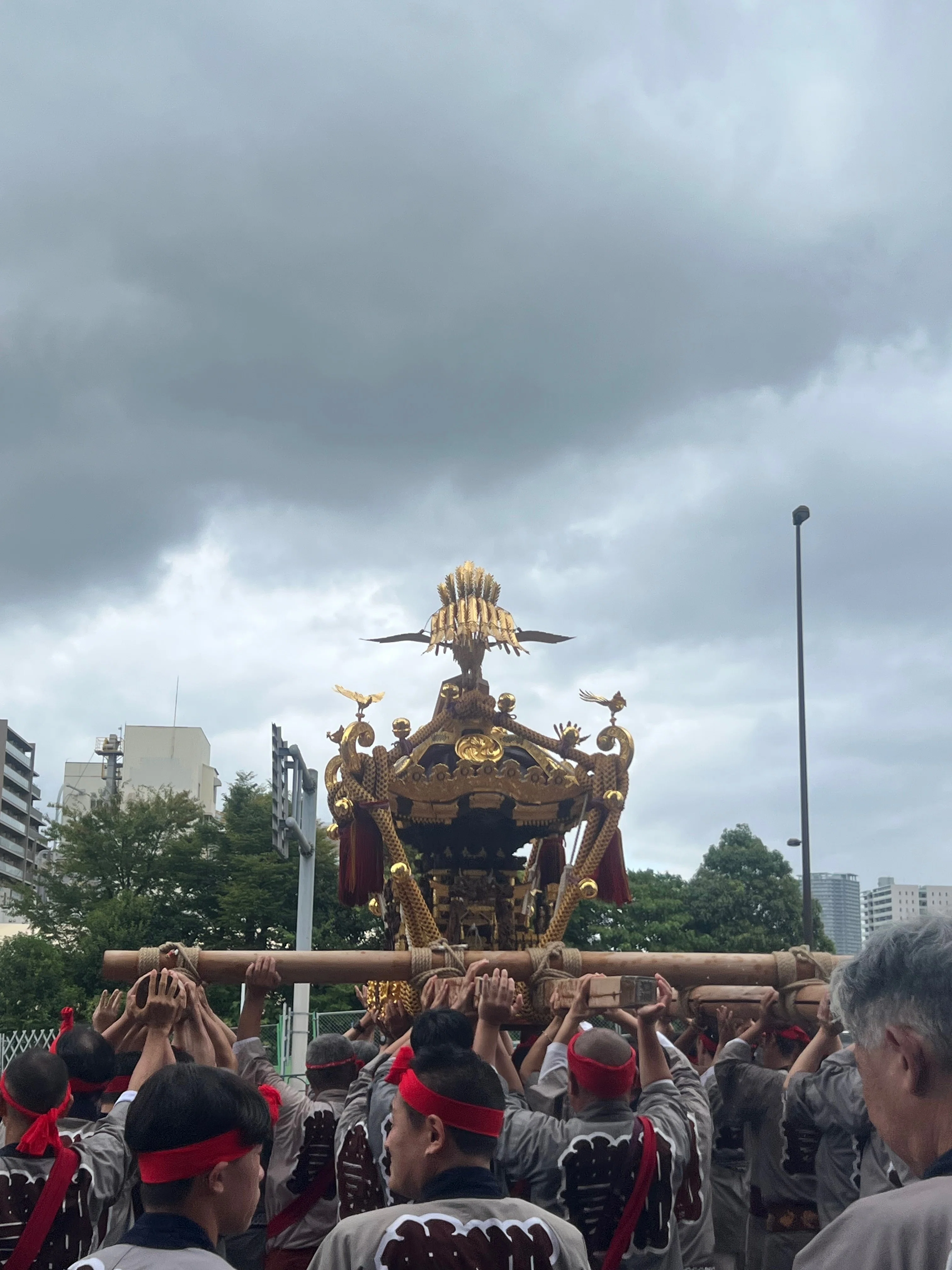 富岡八幡宮例大祭｜豊洲町内の子ども神輿・豊洲町内神輿｜鈴木あやこ