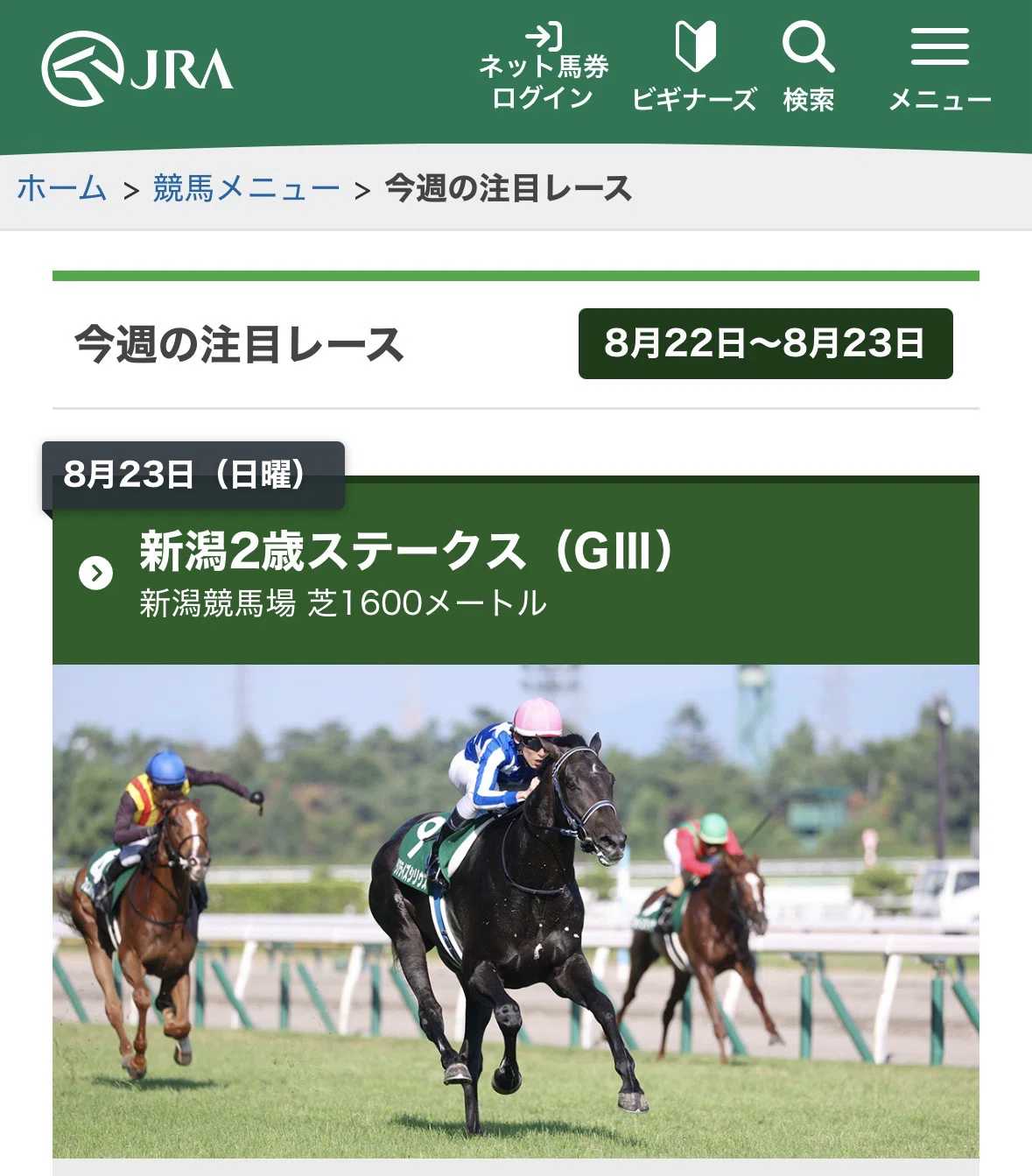 2026 新潟2歳S サイン考｜ガラスの脚 サイン競馬予想