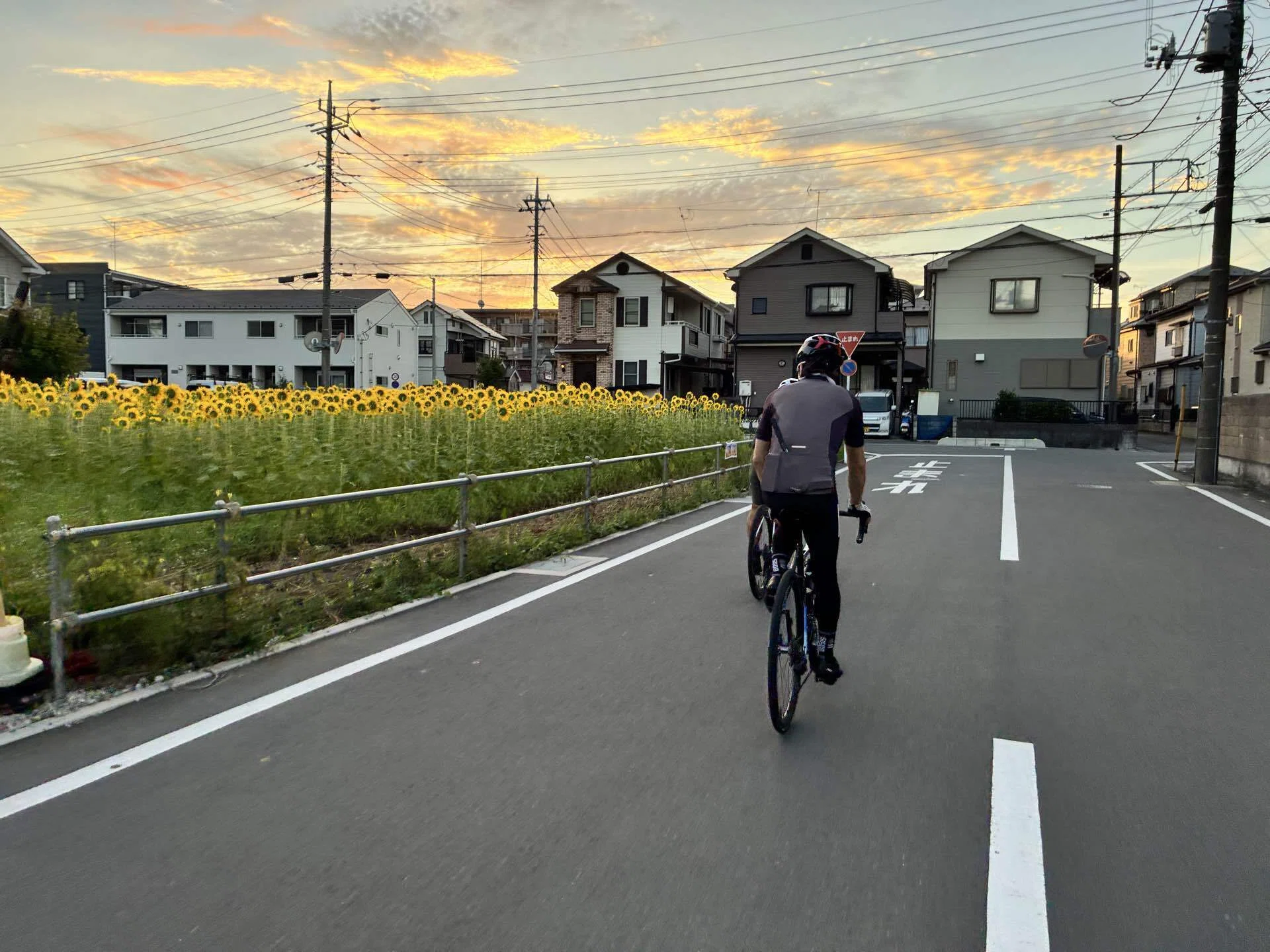 葛西ポタ64km｜西川正治