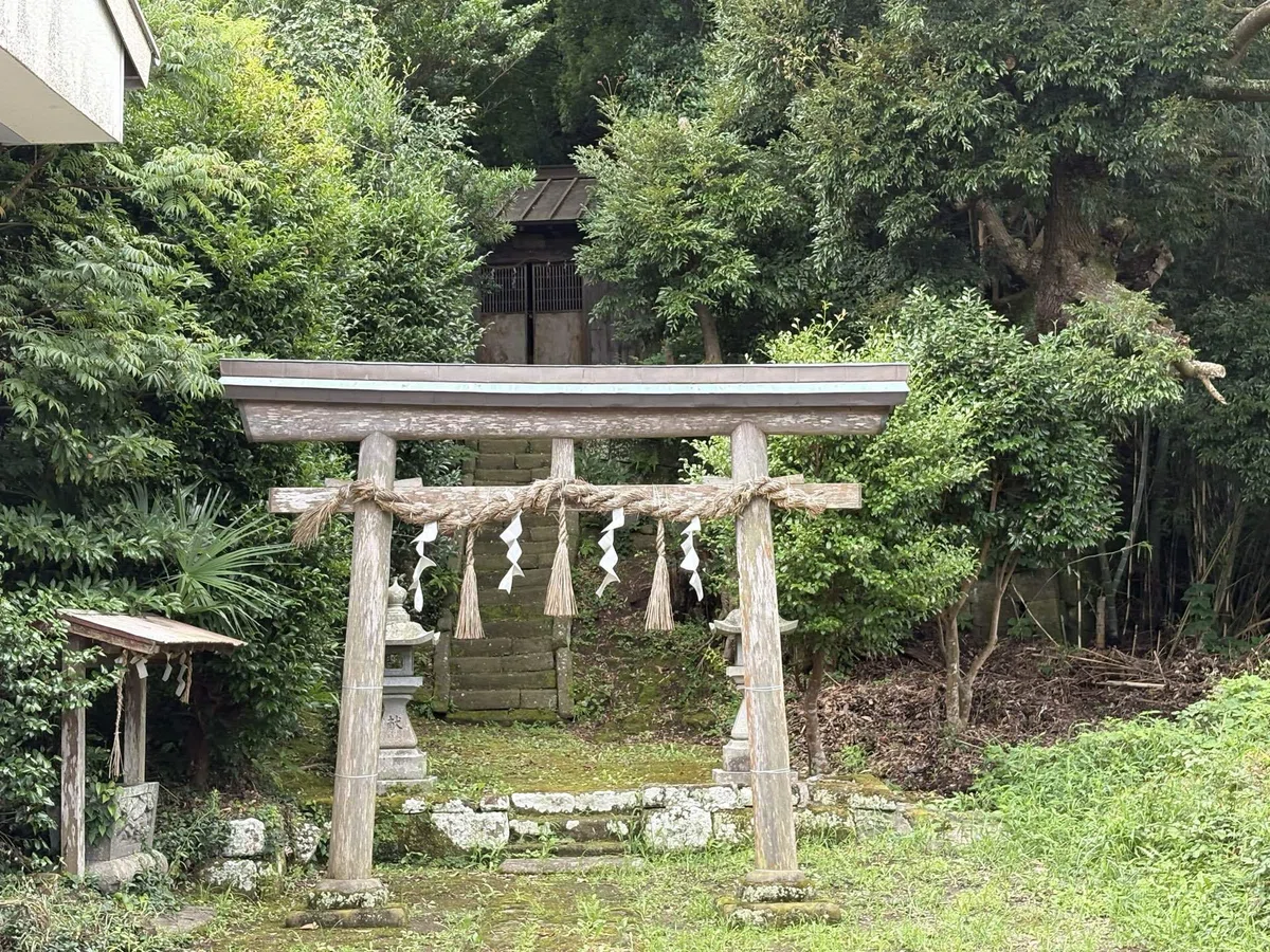 画像