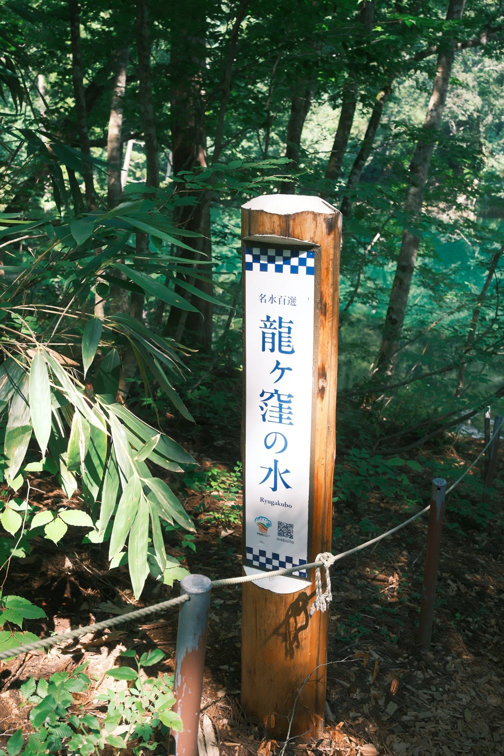 旅の記憶～新潟・龍ヶ窪と清津峡｜FUJIFILM｜alcinist