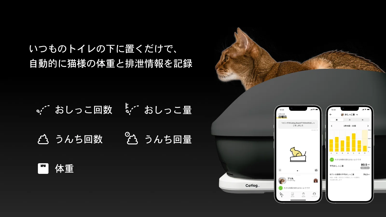 Catlog Boardで、見守りに体重・排泄の記録を加える｜RABO, Inc.