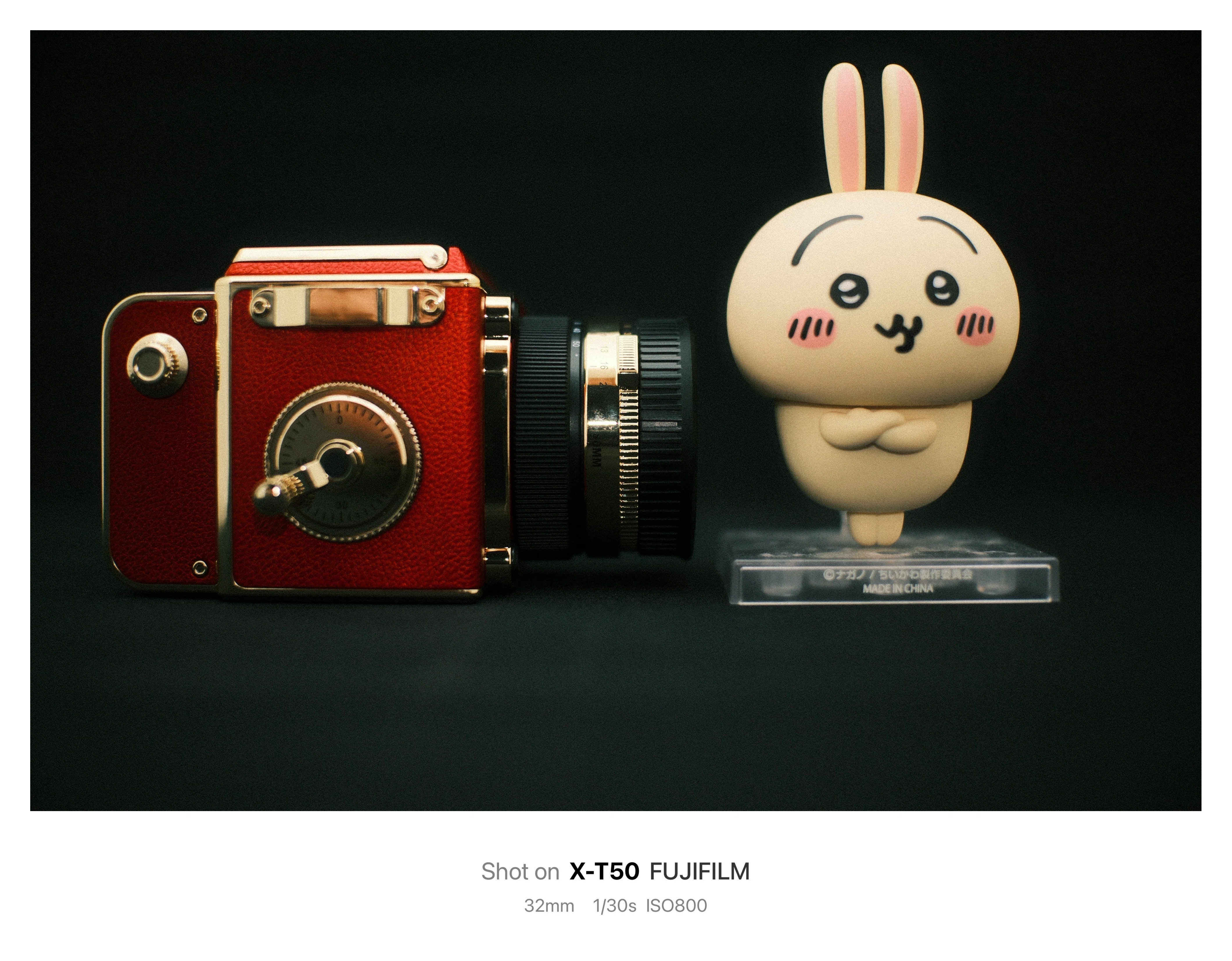 写真作例/感想】ハッセルブラッド（？）風のトイカメラを買ったっ