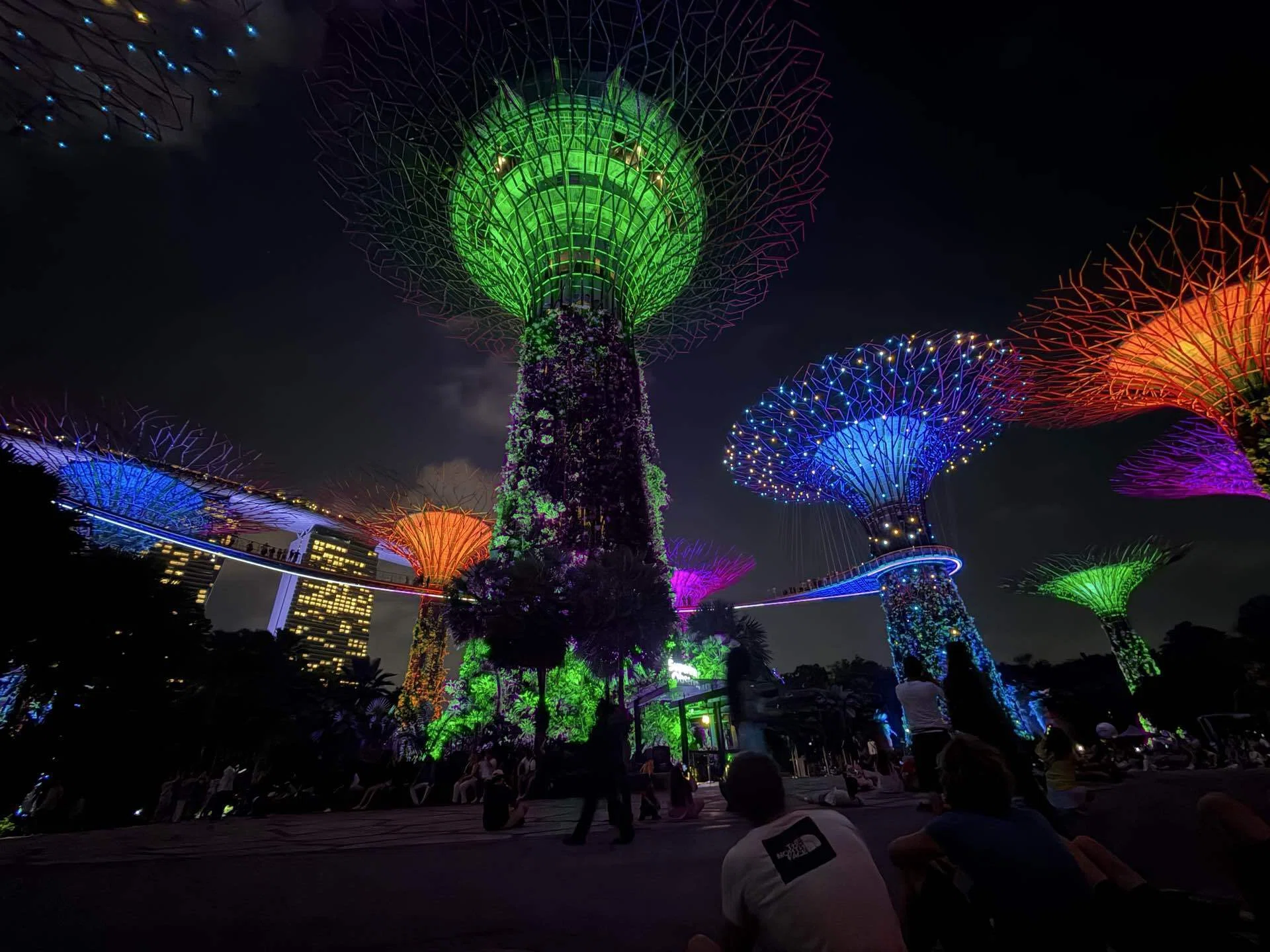シンガポール🇸🇬｜スペクトラからガーデンラプソディへはしごする最短