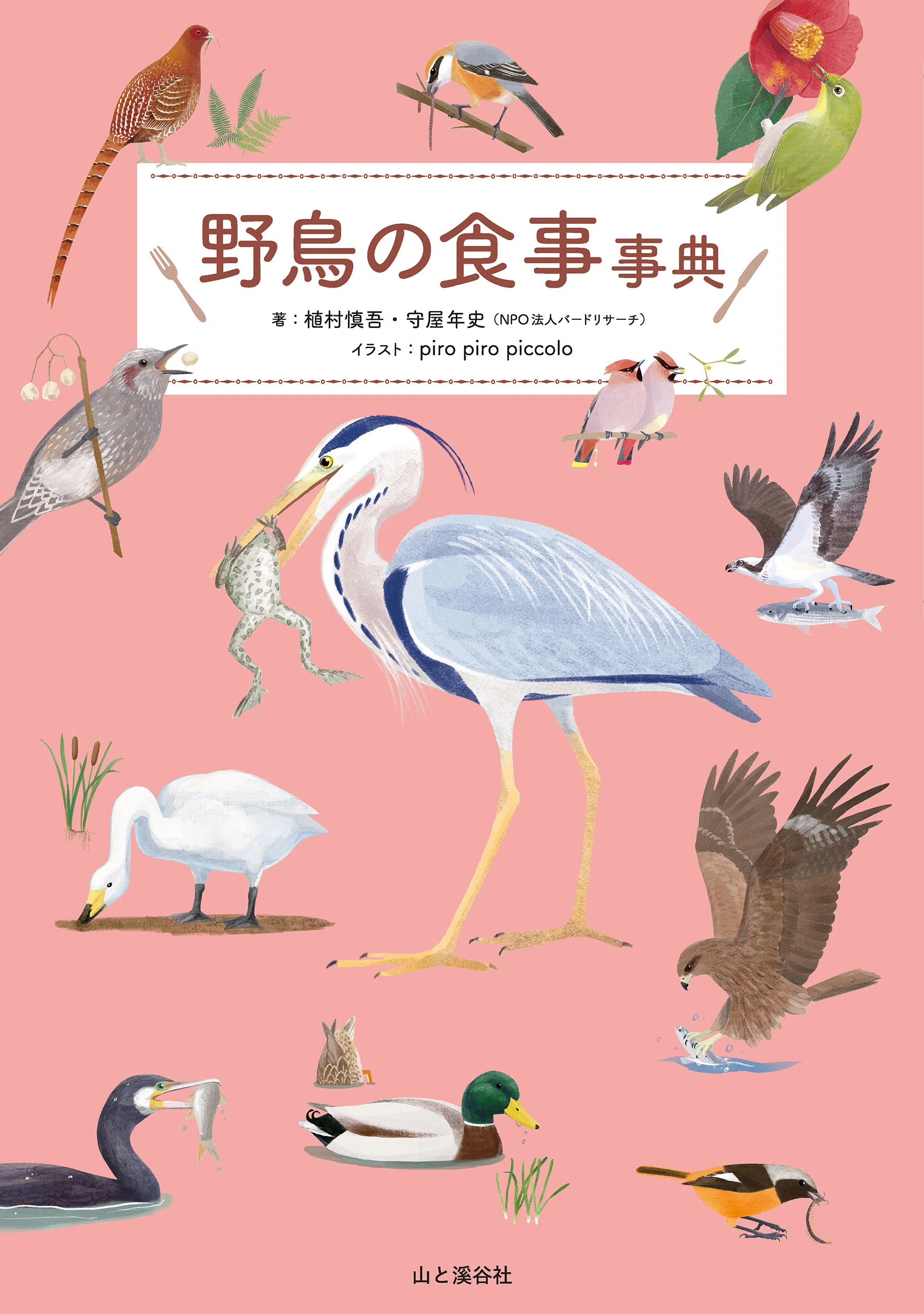 図鑑じゃない野鳥の本 10冊！【ヤマケイのこんな本】｜ヤマケイの本
