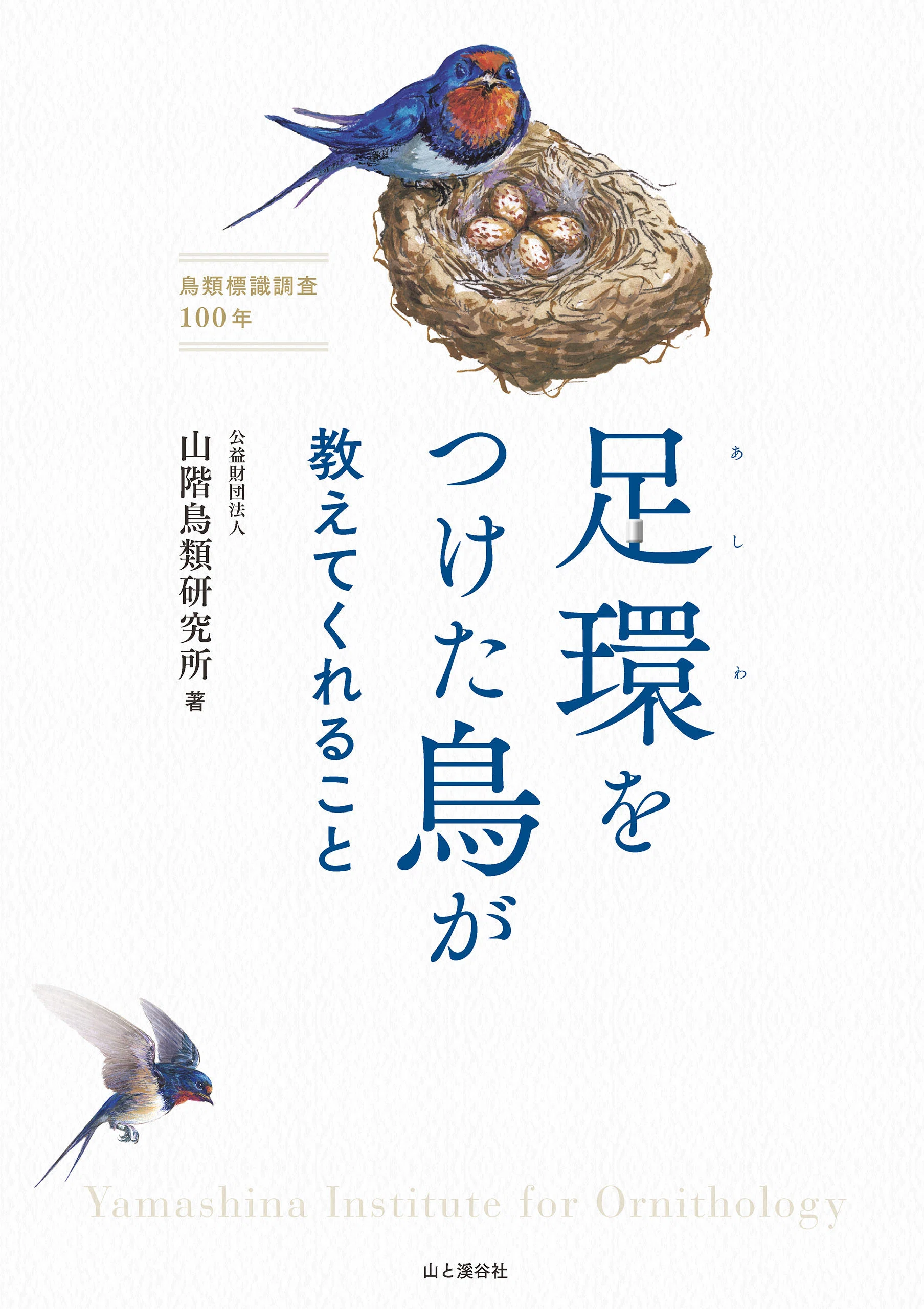 図鑑じゃない野鳥の本 10冊！【ヤマケイのこんな本】｜ヤマケイの本