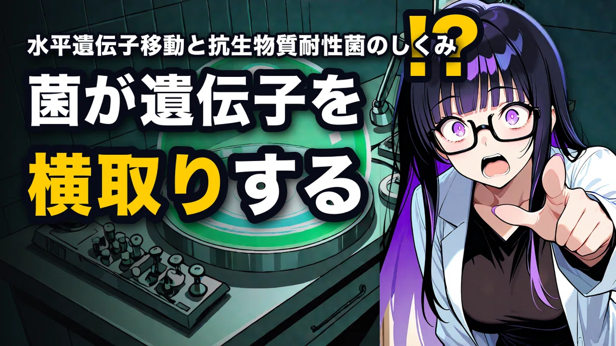 遺伝子は横にも渡る――抗生物質耐性菌を生む水平遺伝子移動|みお@AI&サイエンスライター