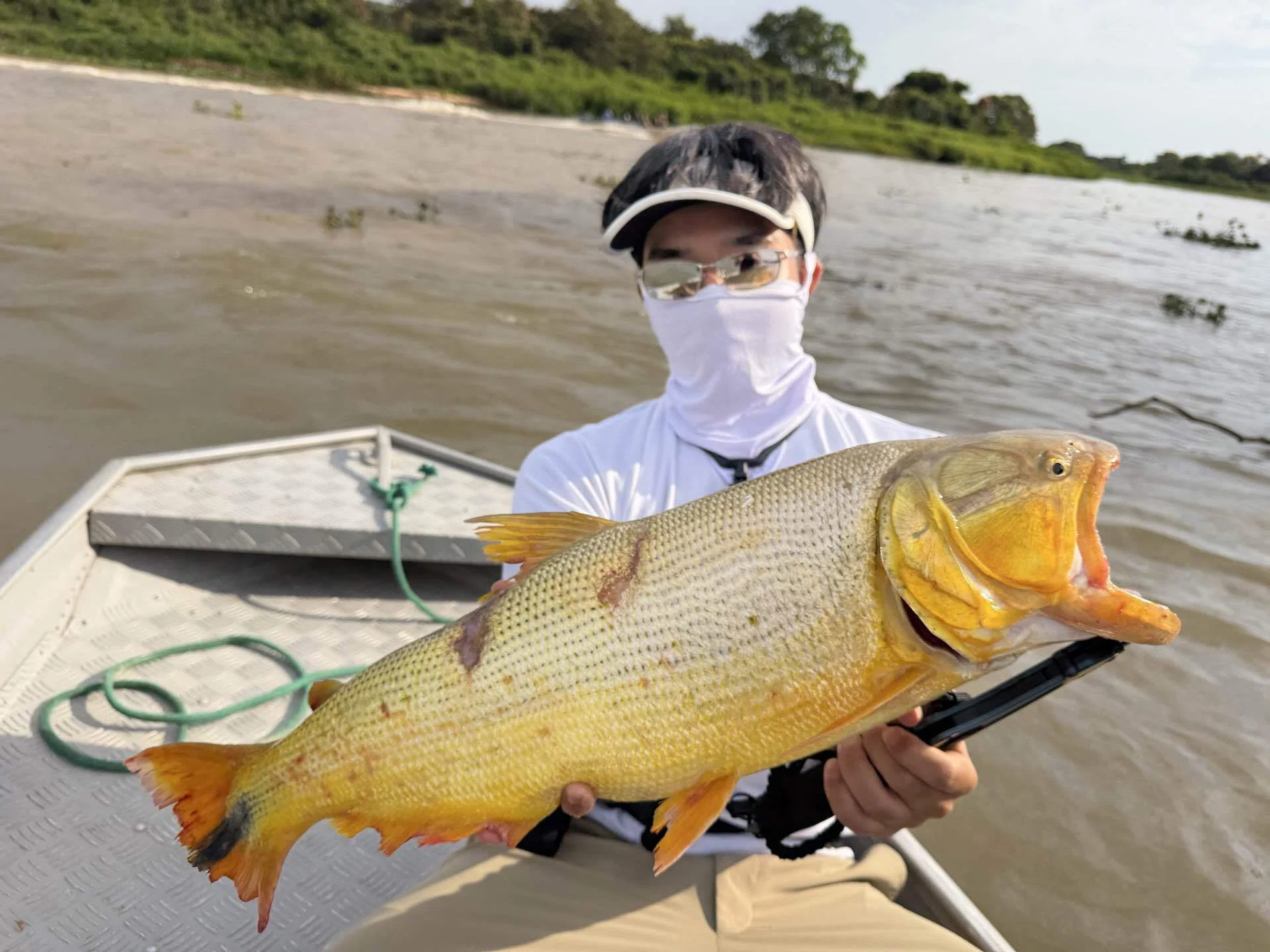 黄金の魚は最後に飛んだ｜Bassin' Heavenコマツ
