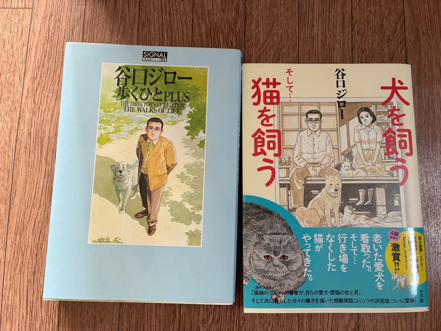 歩くひと 谷口ジローさんの漫画を読んだ散歩の人｜（花鳥風月）ikesan