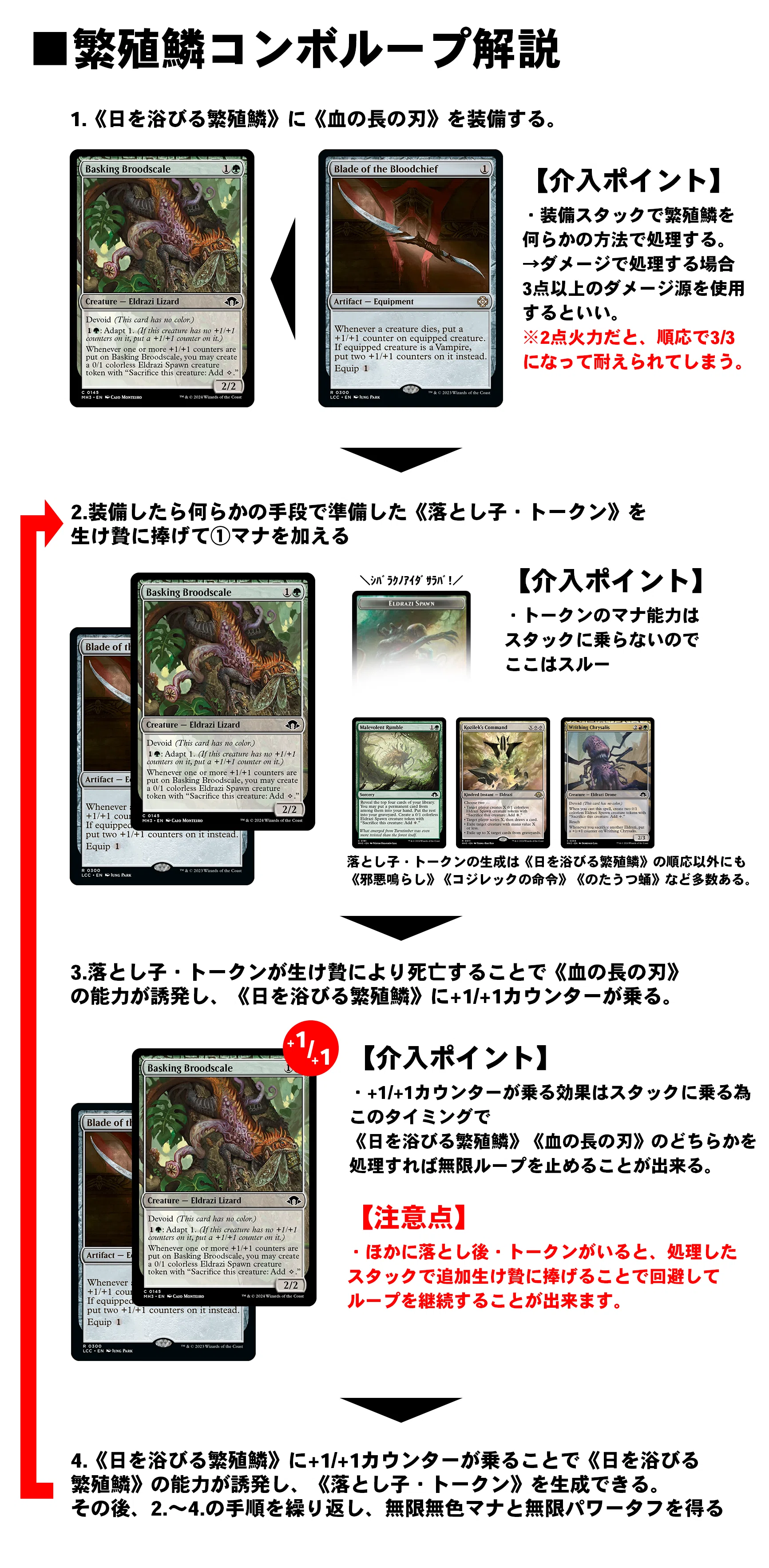 mtg モダン　デッキ　パーツ　繁殖鱗コンボ ミリしらデッキ解説：繁殖鱗コンボ編｜くろねこ