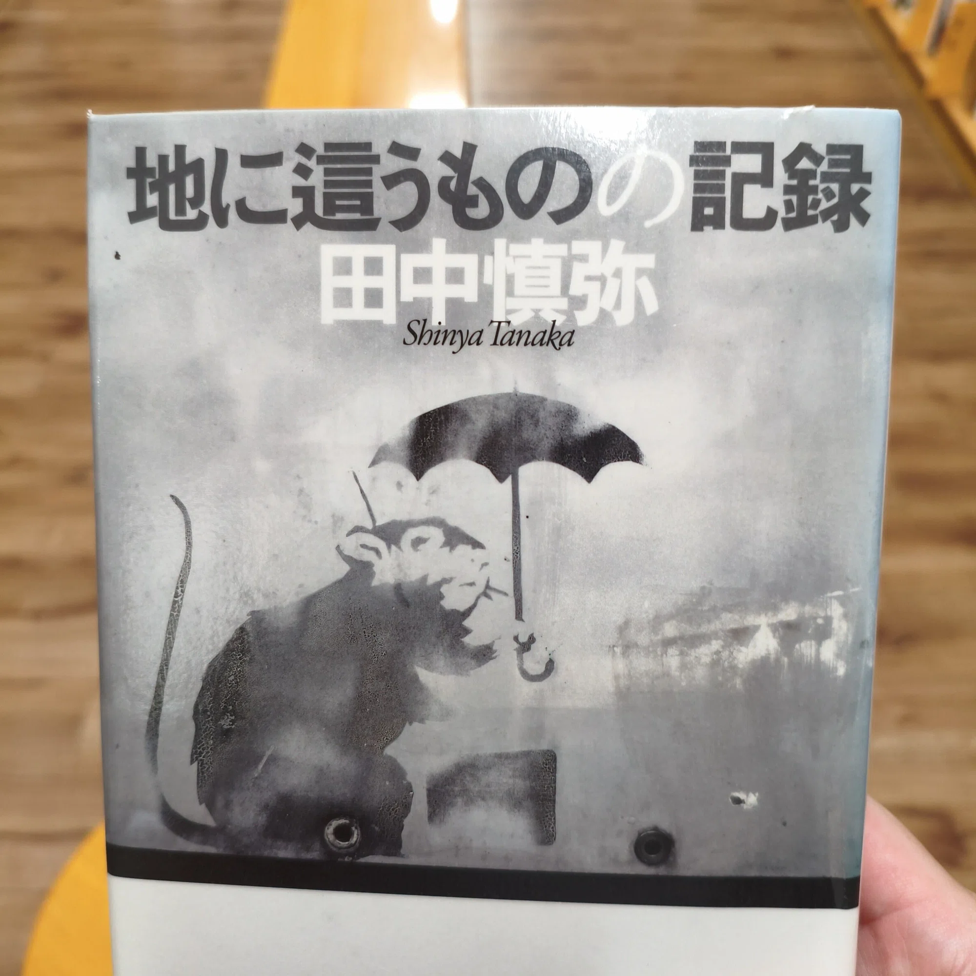 小説読めないけど『地に這うものの記録』（田中慎弥）を読んだ｜やましな