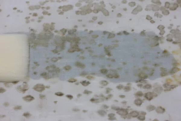 【職人日誌】白いソファカバーに発生した「水玉模様の黒カビ」を特殊漂白で除去する技術|アットデア株式会社