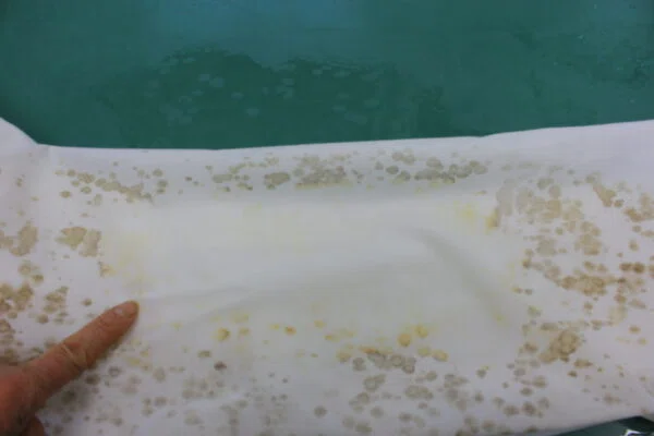 【職人日誌】白いソファカバーに発生した「水玉模様の黒カビ」を特殊漂白で除去する技術|アットデア株式会社