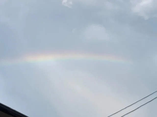 虹