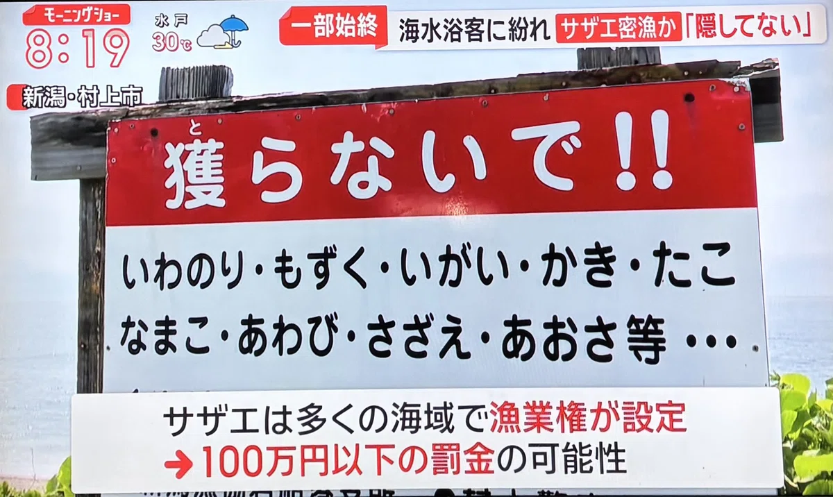 漁業権ってなんだ???――サザエを拾って食べるだけで「密漁」になる理由|鮭川ゆるり