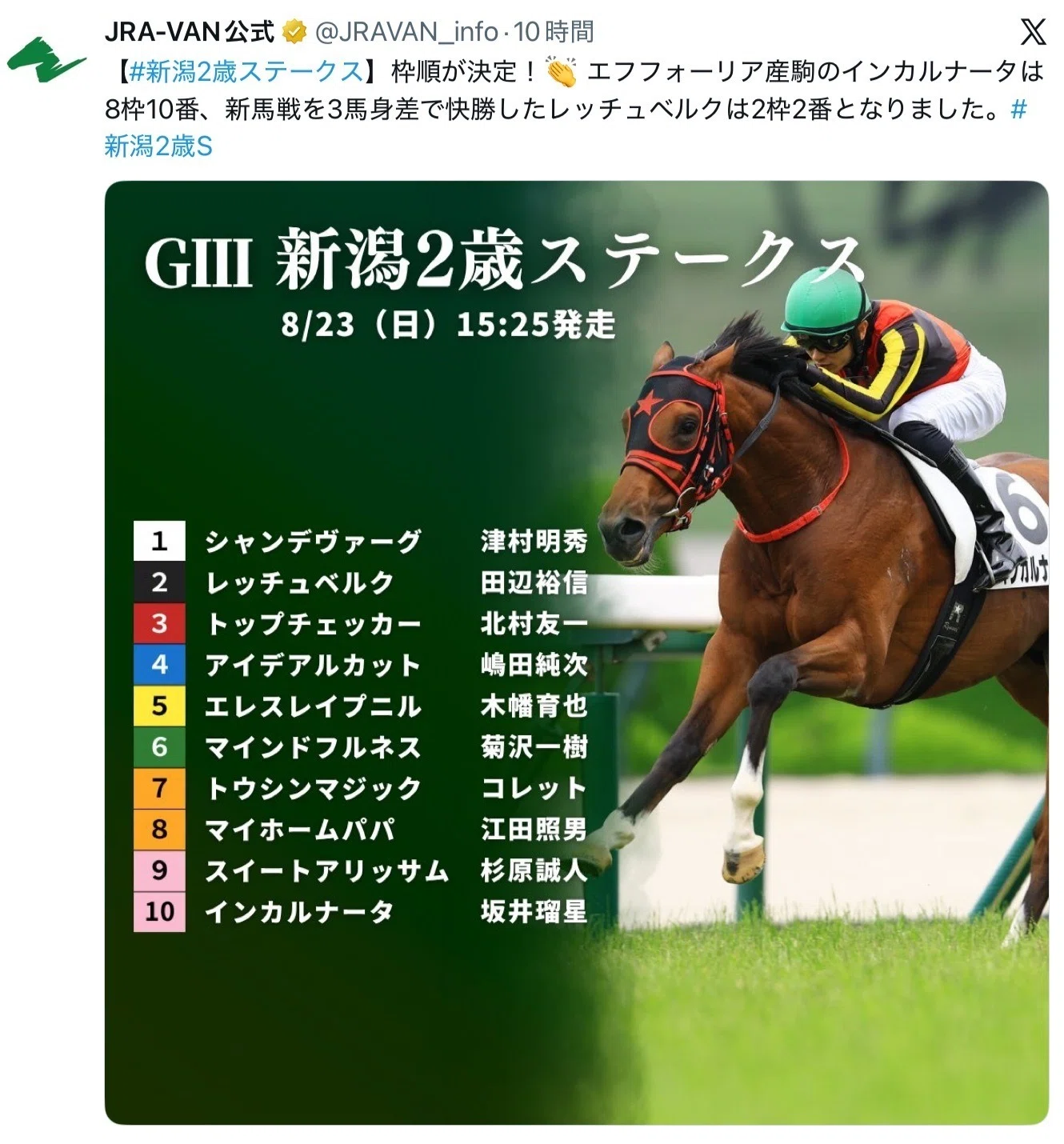 新潟2歳ステークス2026］サイン考察｜今回も出た“激アツ新継続サイン