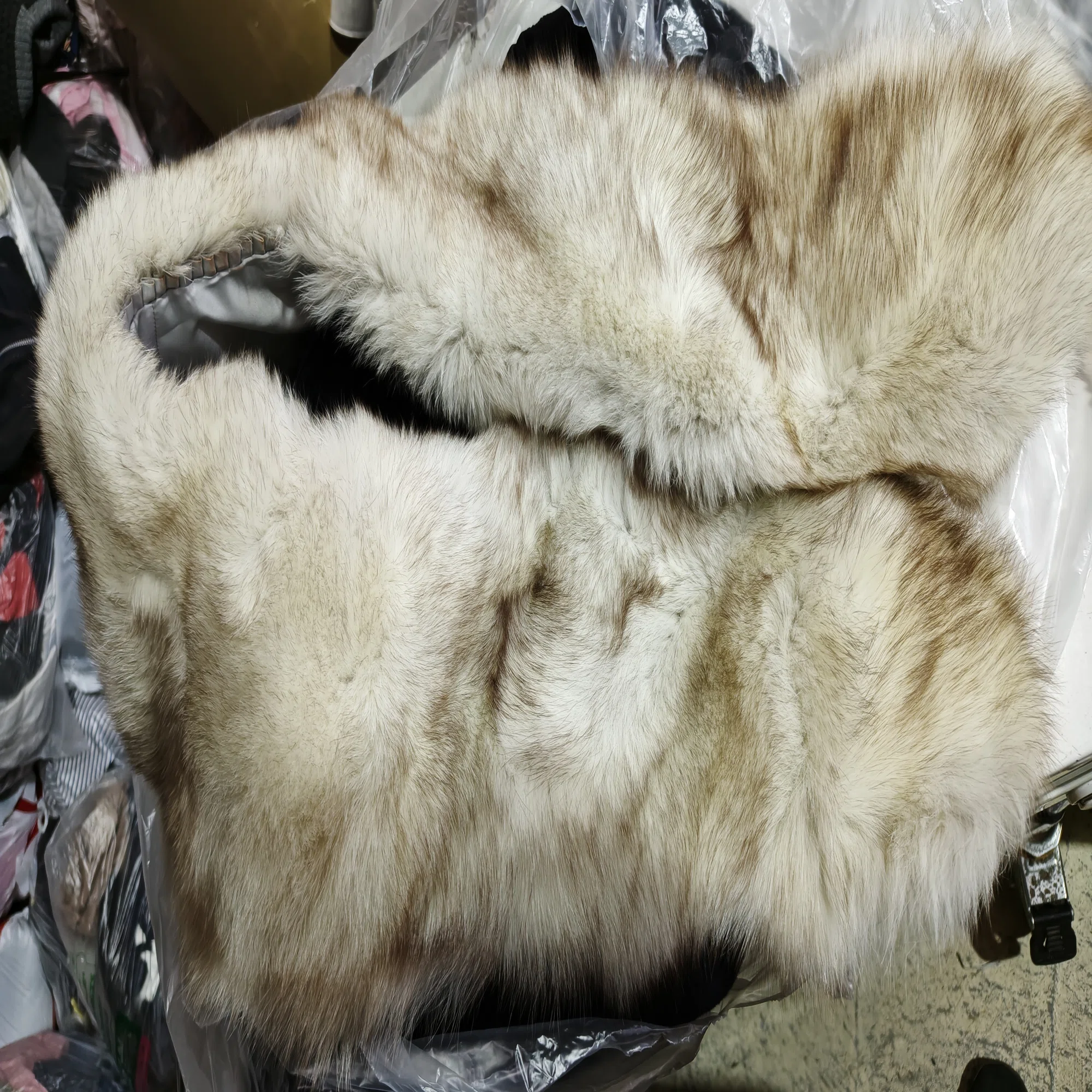 SAGA FOX?サガフォックスのストールをレスキューした?ゴールドラベル 