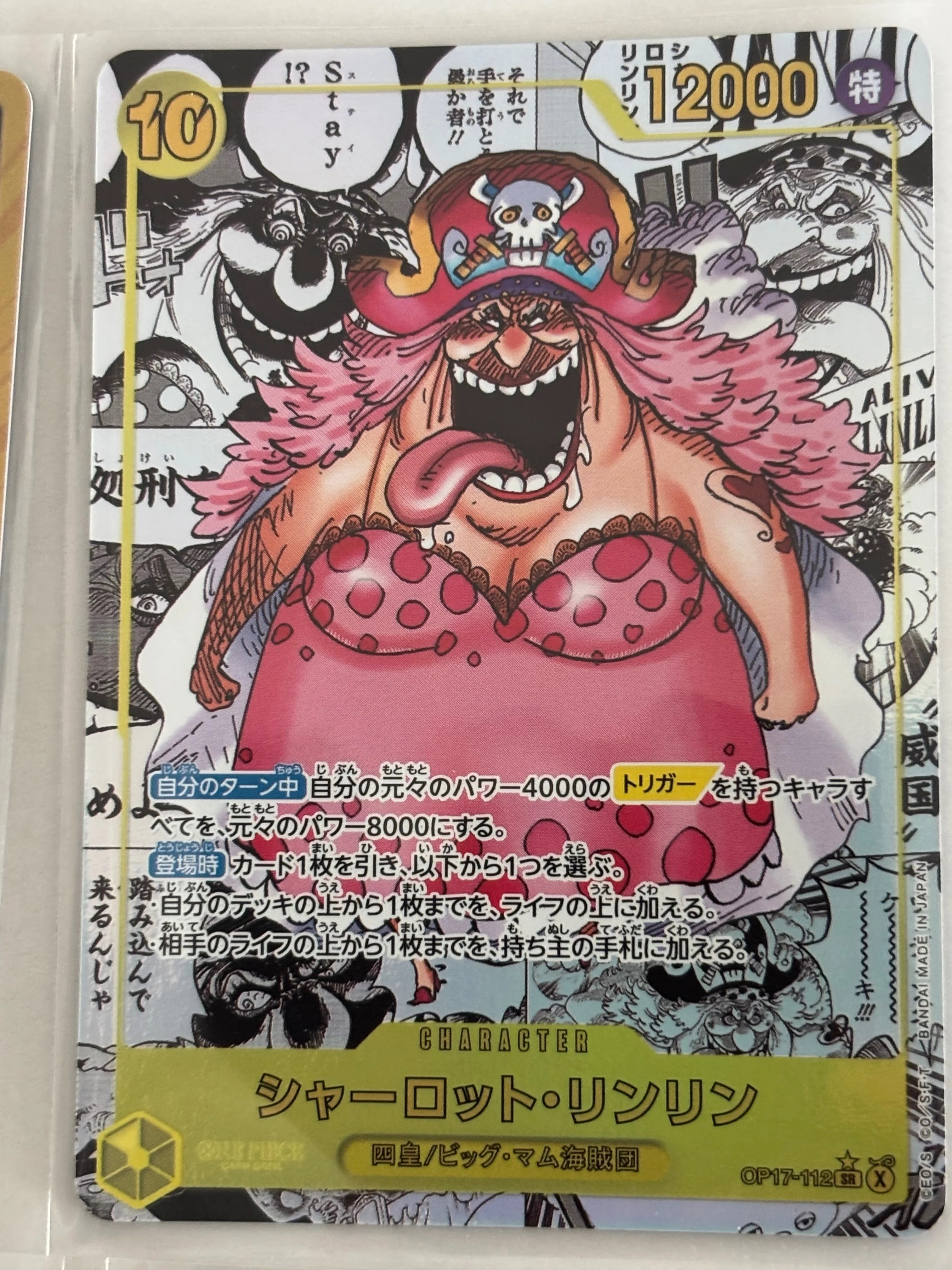 1カートン徹底検証】世界最強の戦士12BOX｜重量・封入結果・当たり位置