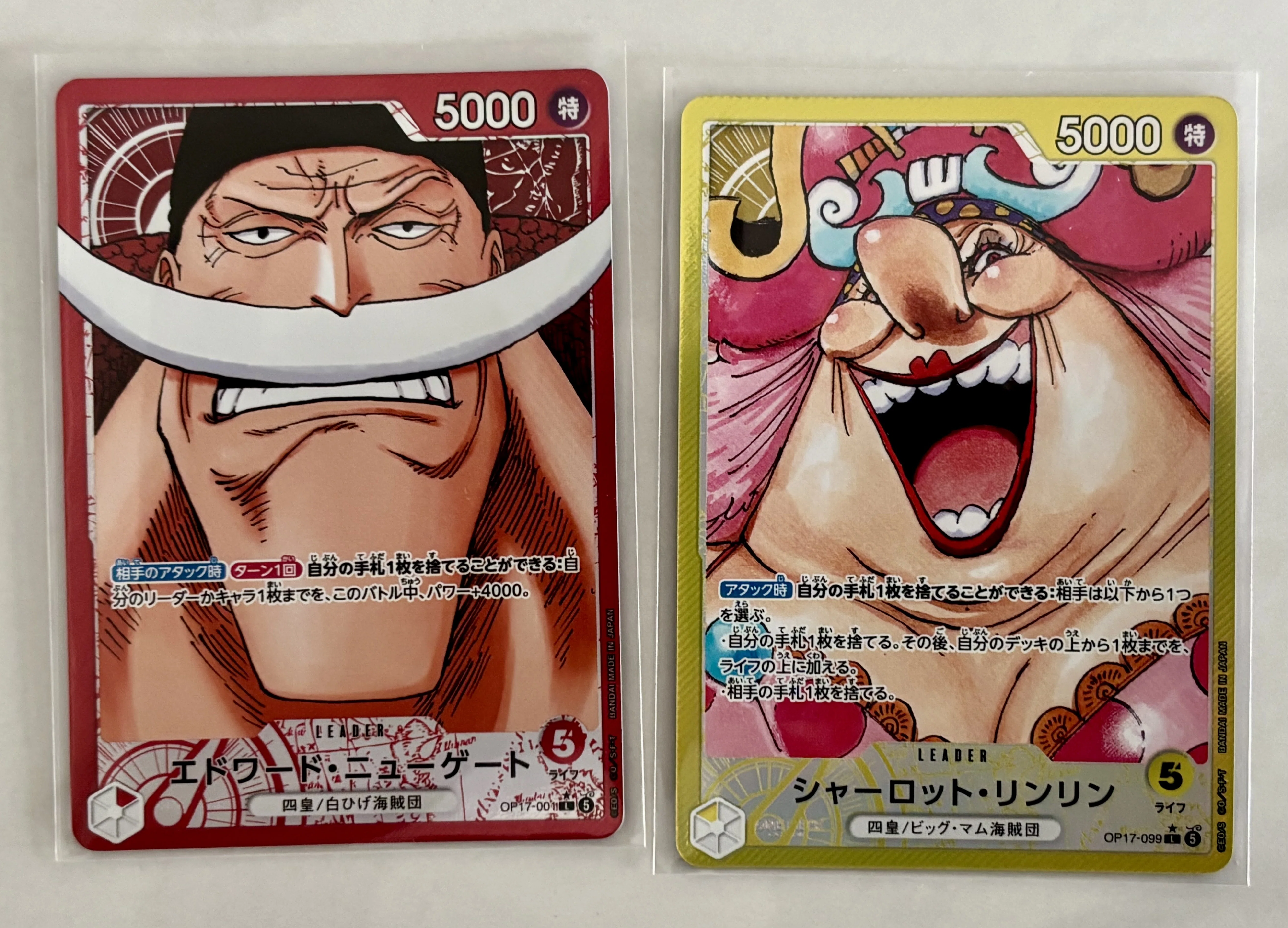 1カートン徹底検証】世界最強の戦士12BOX｜重量・封入結果・当たり位置