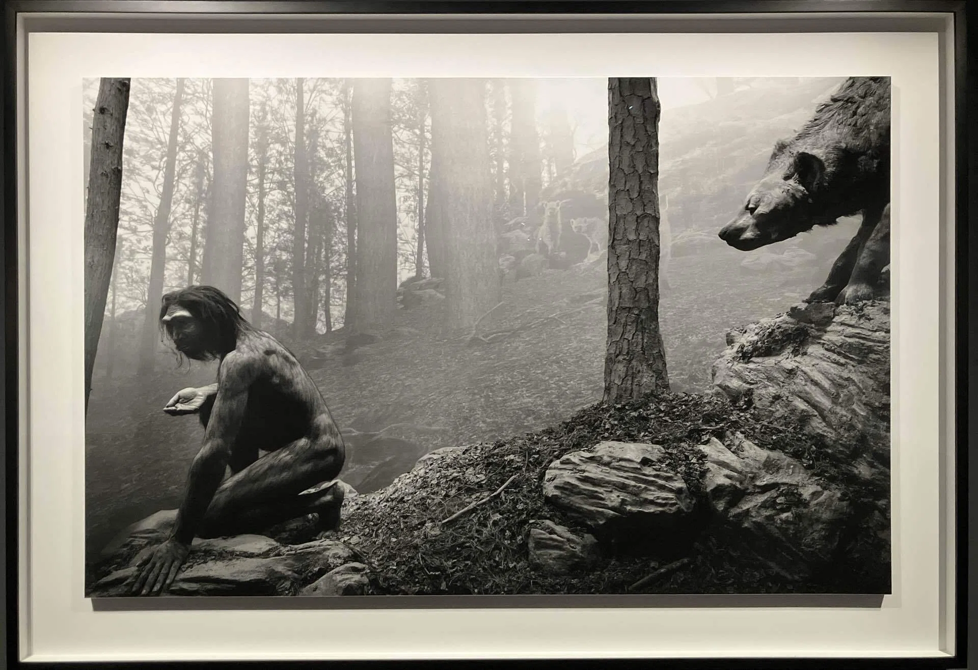 Seeing the Unseen: Hiroshi Sugimoto's 'Extinction Photographs' at