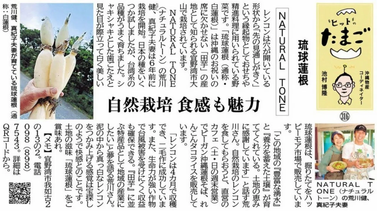 "ヒット"のたまご 琉球蓮根 ＮＡＴＵＲＡＬ ＴＯＮＥ 自然栽培 食感も魅力