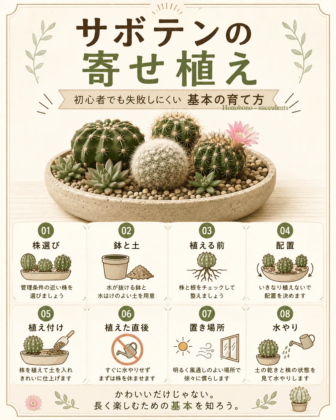 サボテンの寄せ植え｜初心者でも失敗しにくい作り方と植えた後の育て方