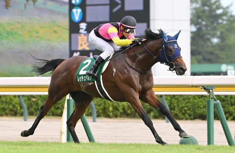新潟2歳ステークス（GⅢ）回顧】推奨馬レッチェベルク1着!! …危なかっ