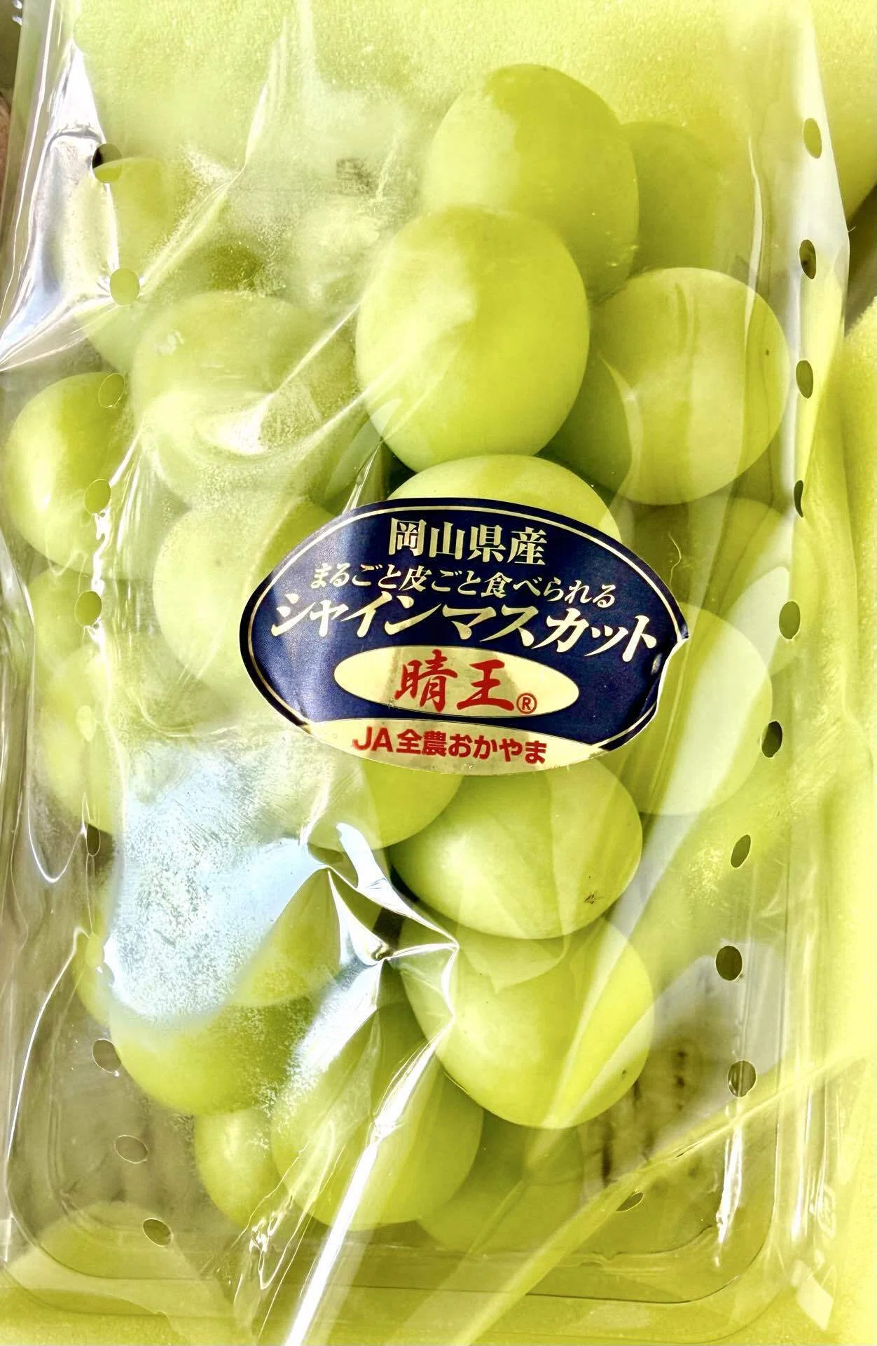 いただきものには、物語がある。」その①｜Honey