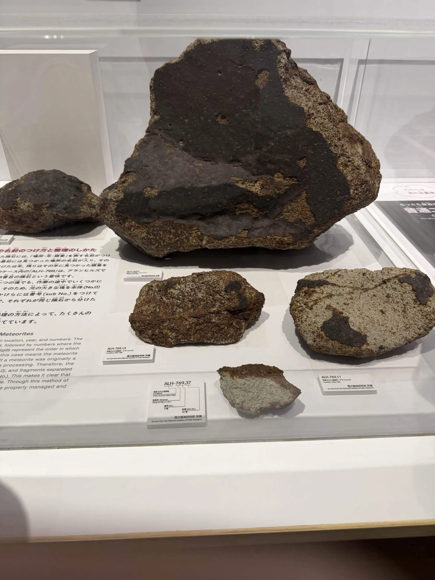 日本科学未来館「大南極展」】小学校中学年からが特におすすめ！大人も
