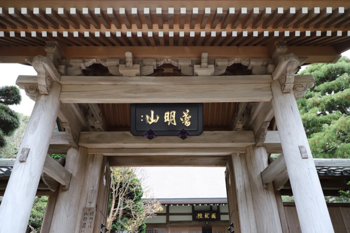 鎌倉 成就院 】｜僕の細道