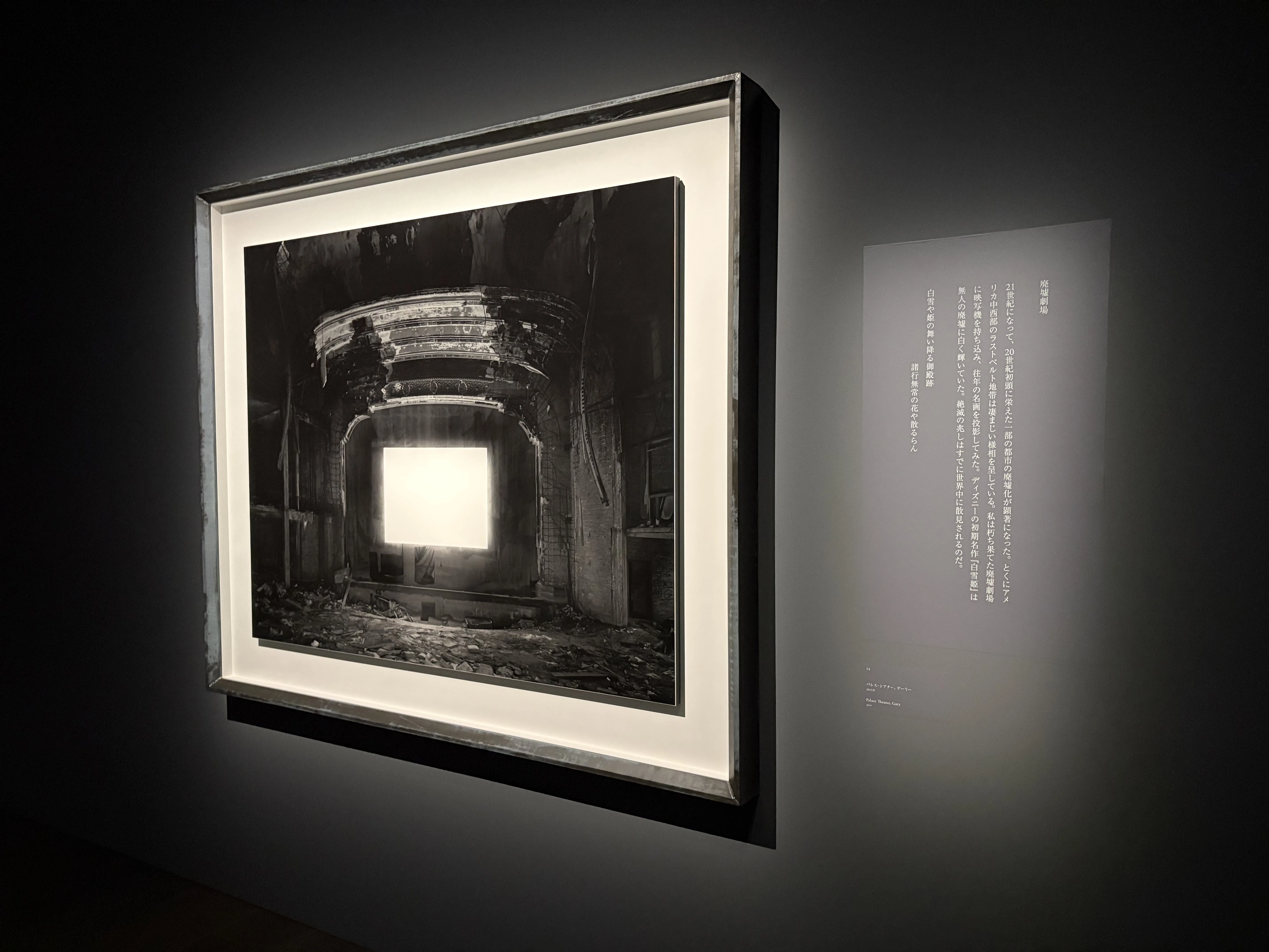 展覧会レポート】「絶滅」の意味とは―『杉本博司 絶滅写真』｜アコース