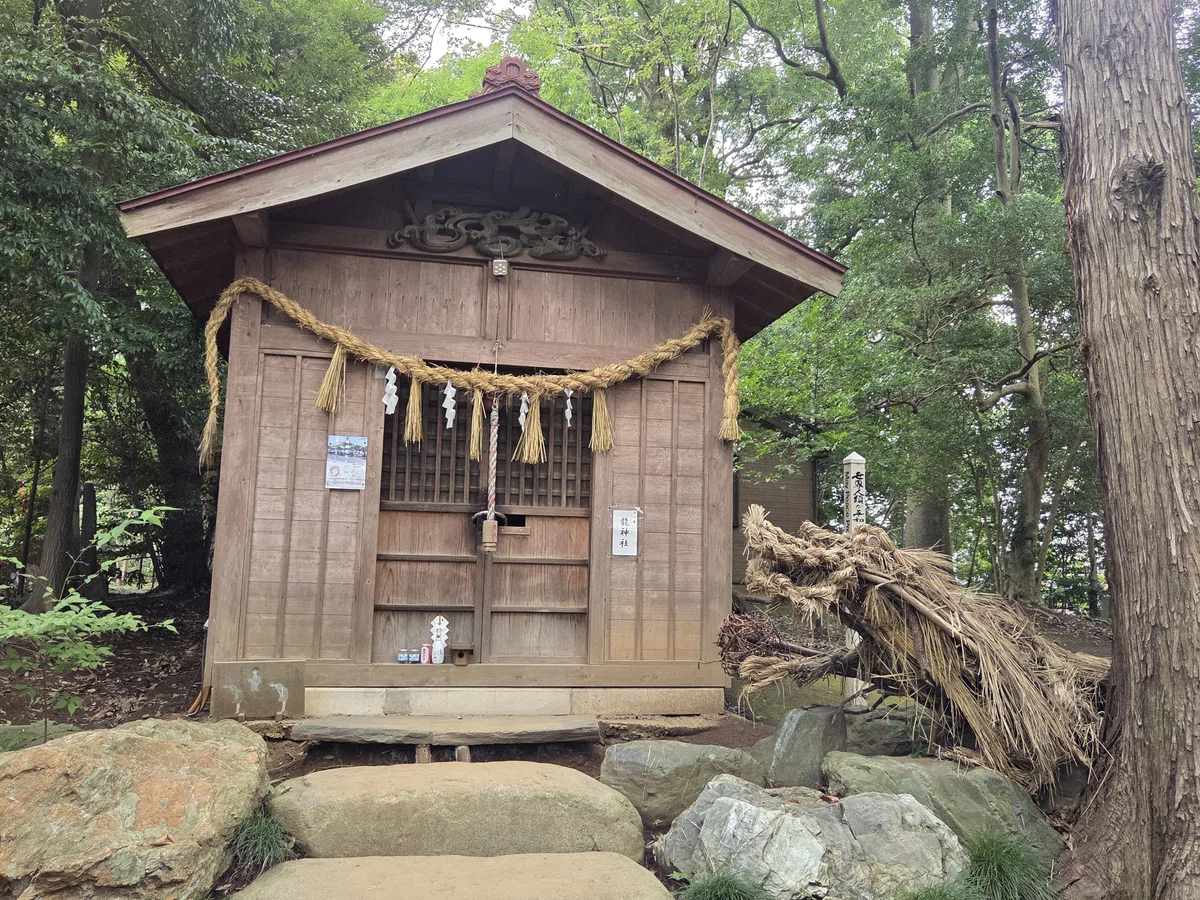 画像