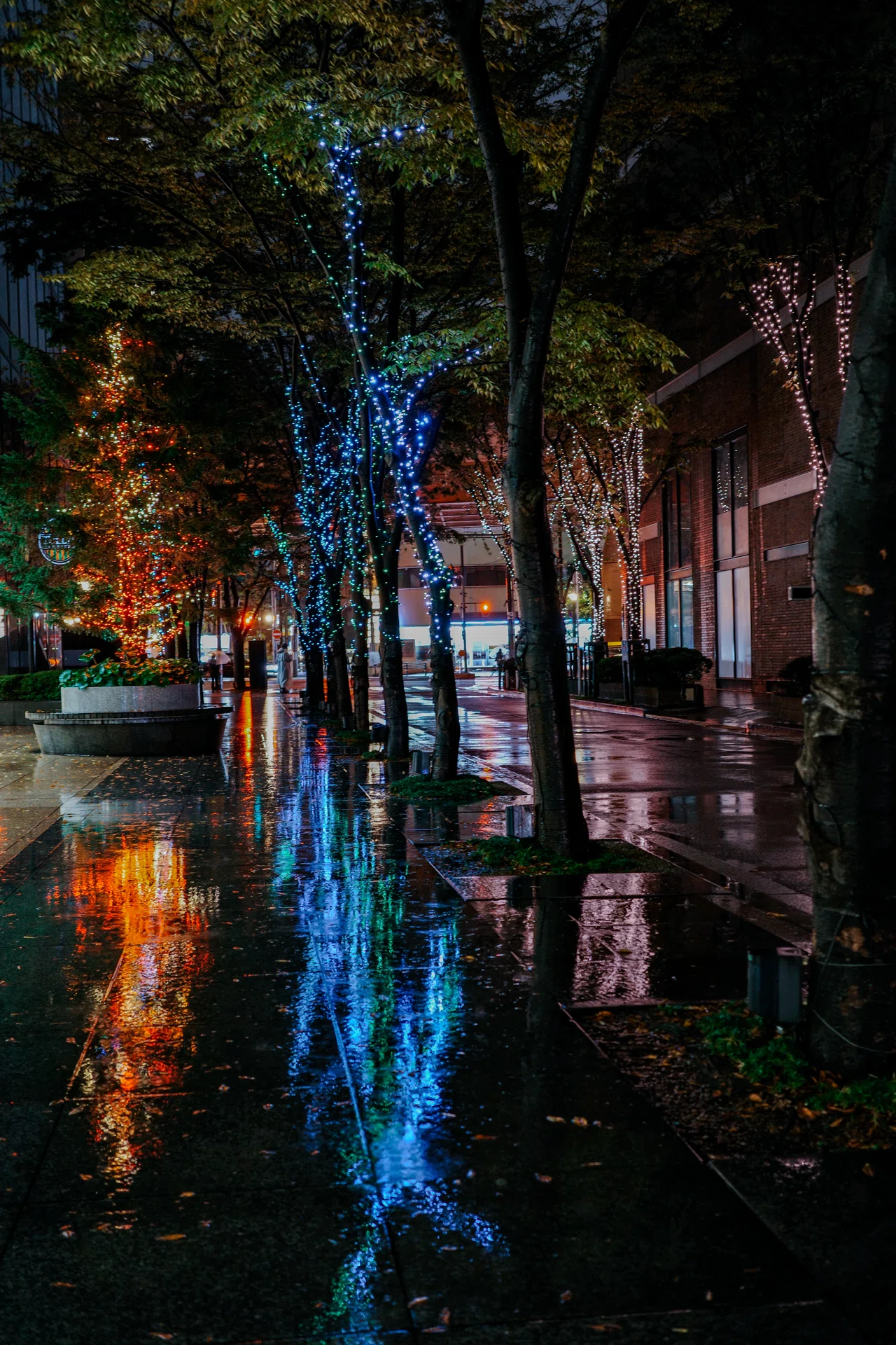 雨上がりの夜、GRⅢxと街へ。路面が鏡に変わる魔法の時間を撮る