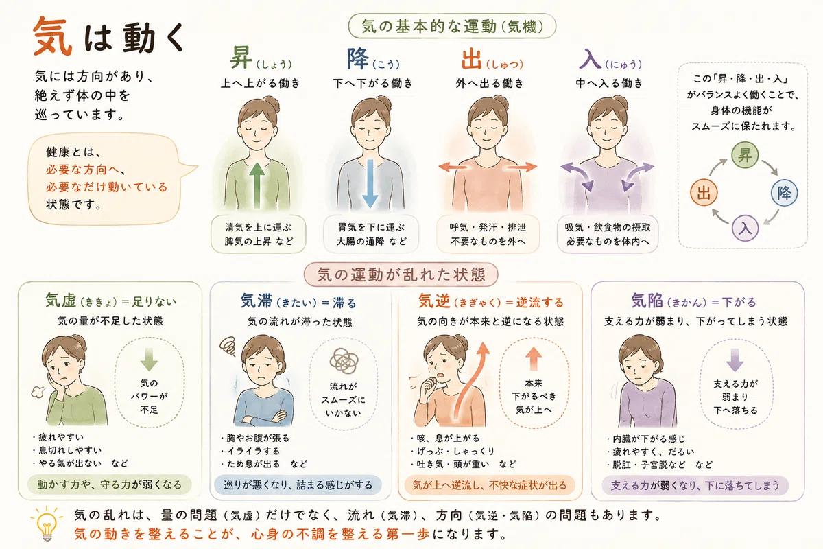 東洋医学探究入門④|「気」って何?|古田大祐 | 身体と文化の探究者