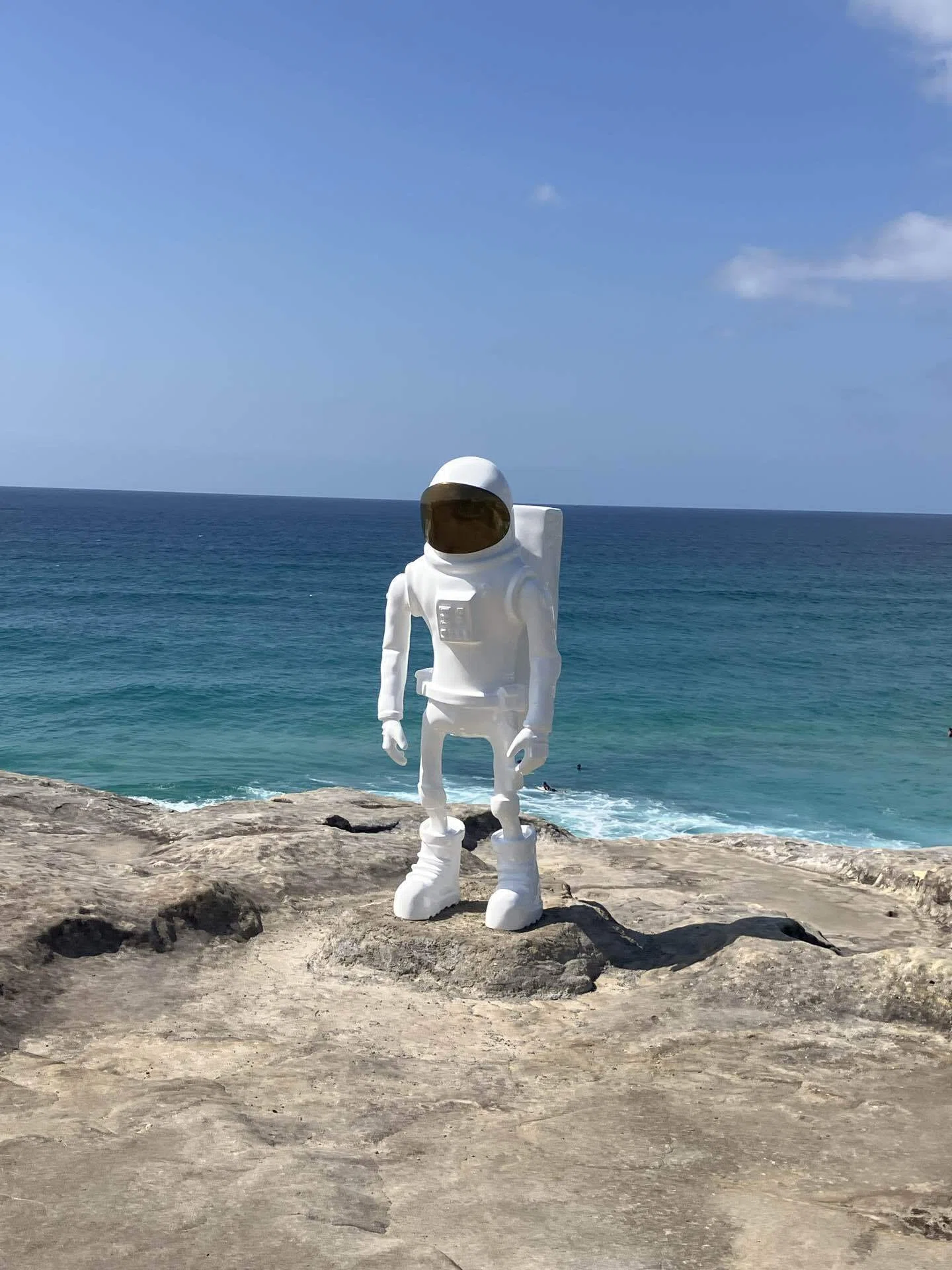 シドニーの海岸歩き8 ボンダイ-マンリーウォーク〈番外編〉👣海辺の