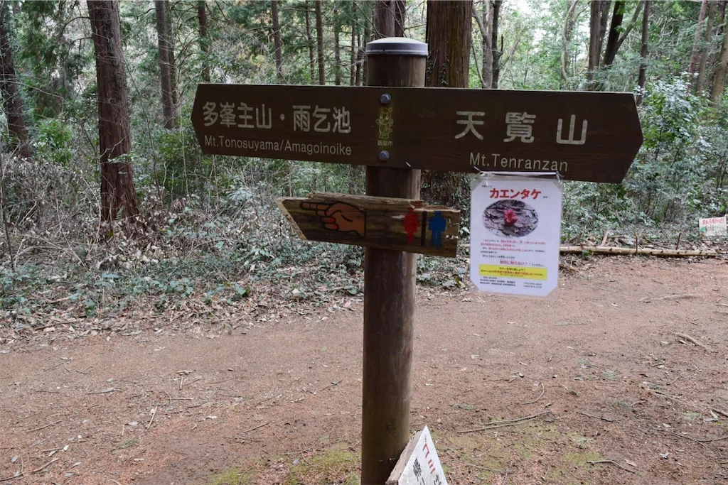 f:id:karatorisanpo3:20250401002617j:image
