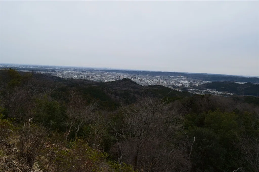 f:id:karatorisanpo3:20250401002633j:image
